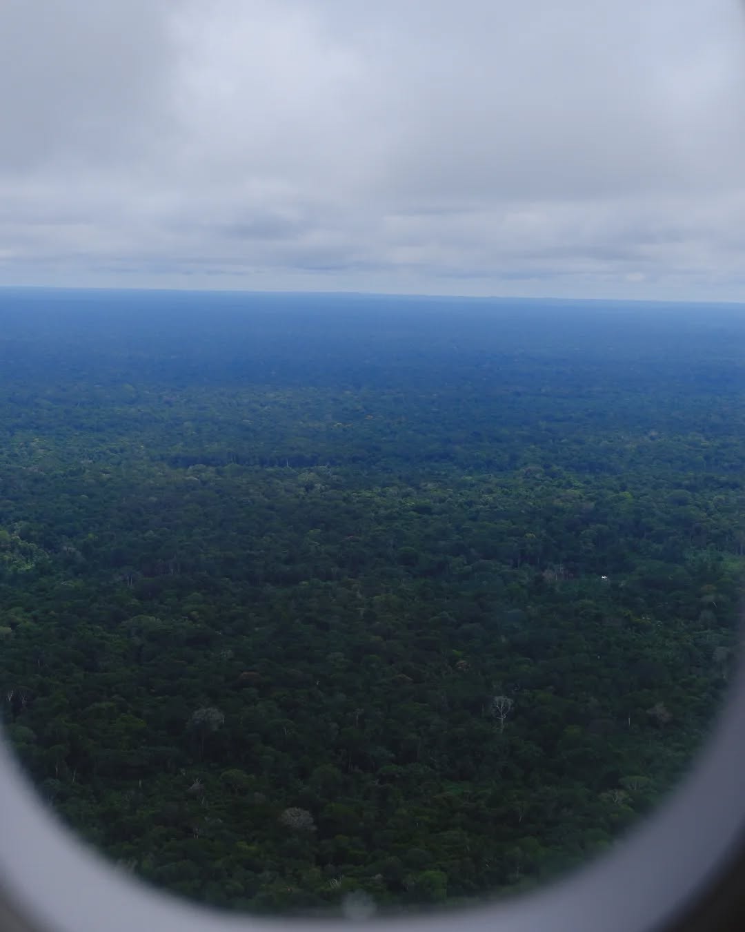 Amazonas 🍃