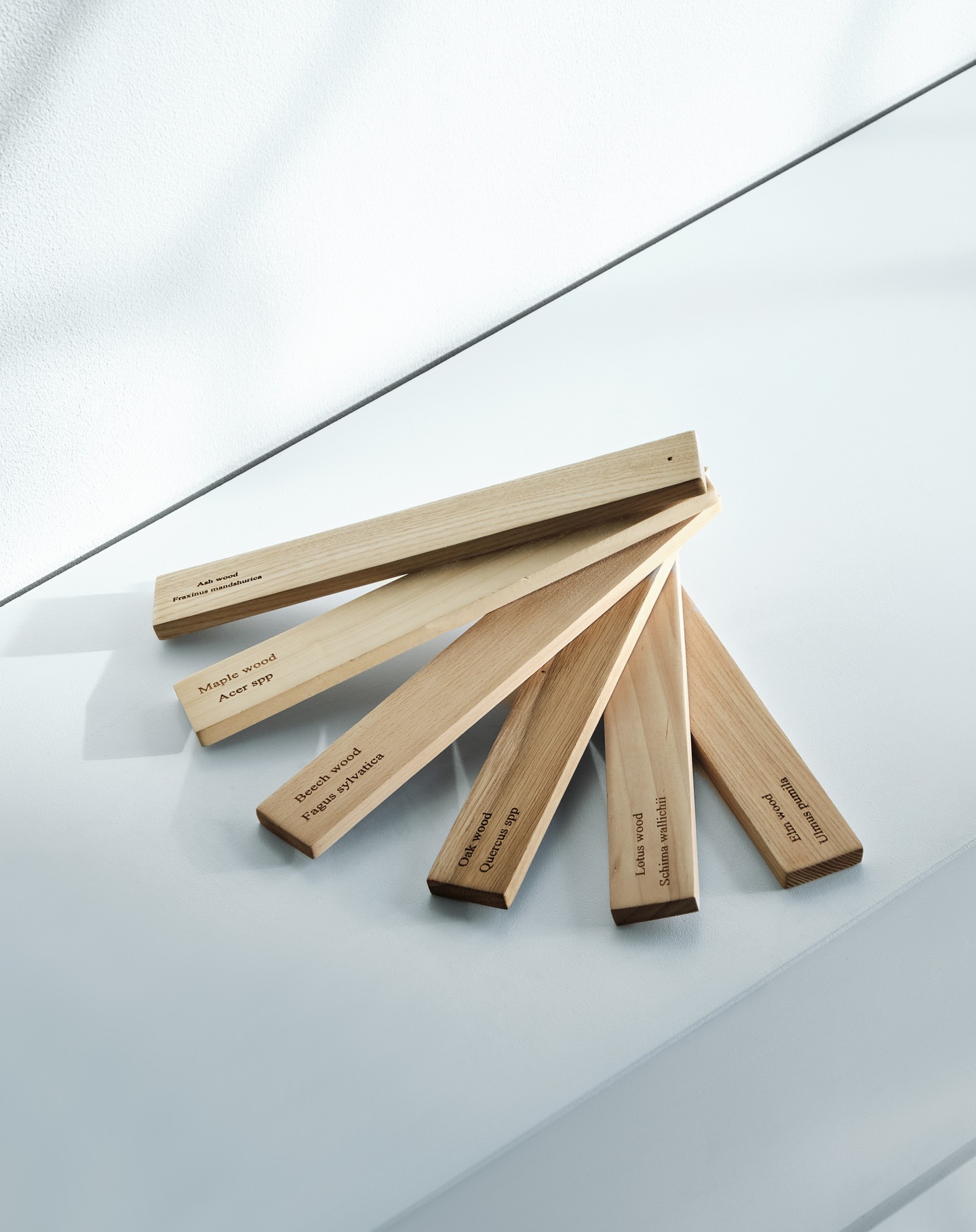 The beauty of wood.
Different types of wood each bring their own unique look and feel—adding character, warmth, and texture to every piece. Whether it’s the rich depth of ash, the light elegance of beech, or the rustic charm of oak, every choice tells a story.
Which wood type fits your style?