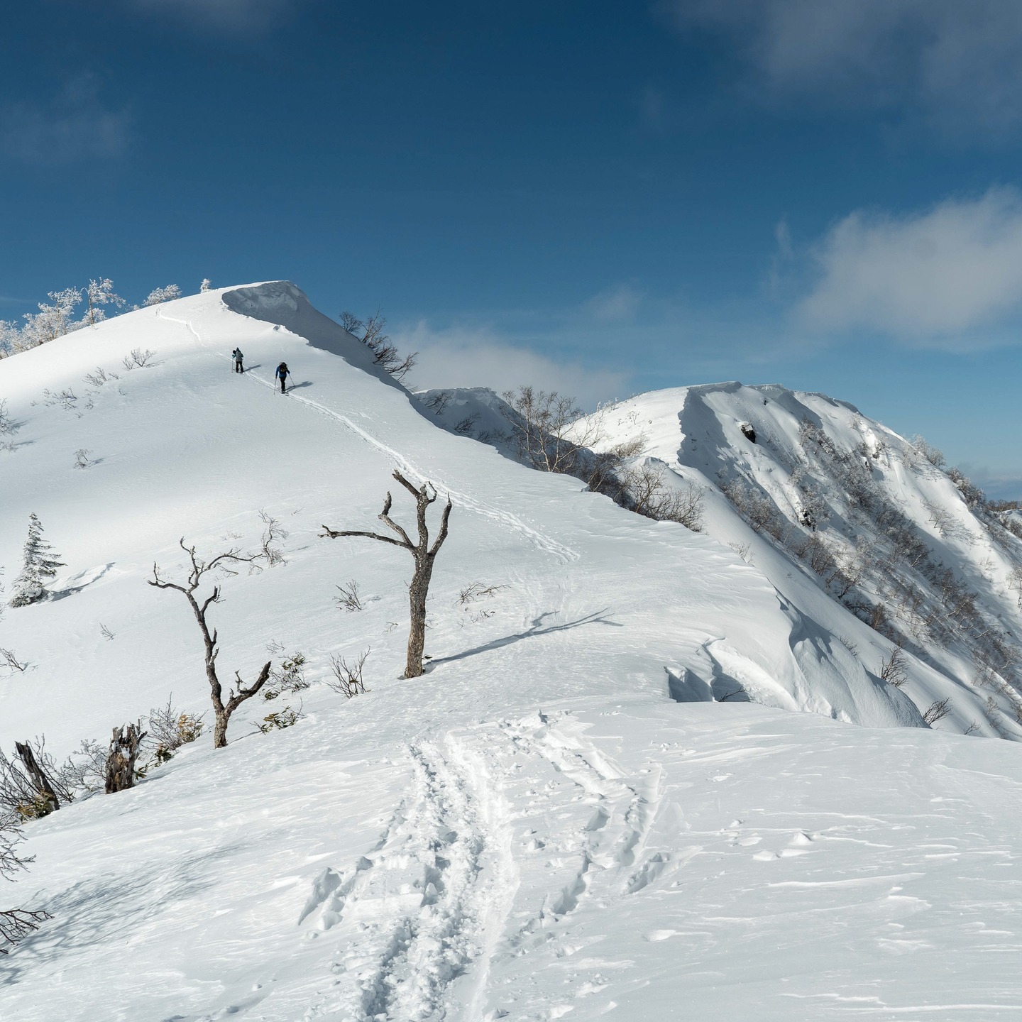 Gozan Lodge Guided Resort & Backcountry Cultural Experience
📅 Dates: February 22nd – March 1st (7 nights)
🏡 Accommodation: 7 nights at Gozan Lodge with a hearty Western buffet breakfast featuring bacon, eggs, homemade yogurt, fresh fruits, and granola.
🎿 Ski & Ride:
✅ 5 days of expert-guided resort & backcountry riding (1 lay day for weather) with the best bilingual guide in Myoko
✅ Lift passes included – access to 12 resorts within an hour's drive
✅ Hybrid resort & backcountry focus – chasing the best powder conditions every day
🍣 Dining & Culture:
🍽 7-night guided omakase dinner experience at the best local restaurants (meals at own expense)
💰 Pricing:
King-size private room: ¥400,000
King single twin room: ¥325,000
🚨 Only 5 spots left!
📩 DM for more info or contact us via our website: gozanlodge.jp/guiding-enquiries
#myoko #myokobackcountry #japow #gozanlodge