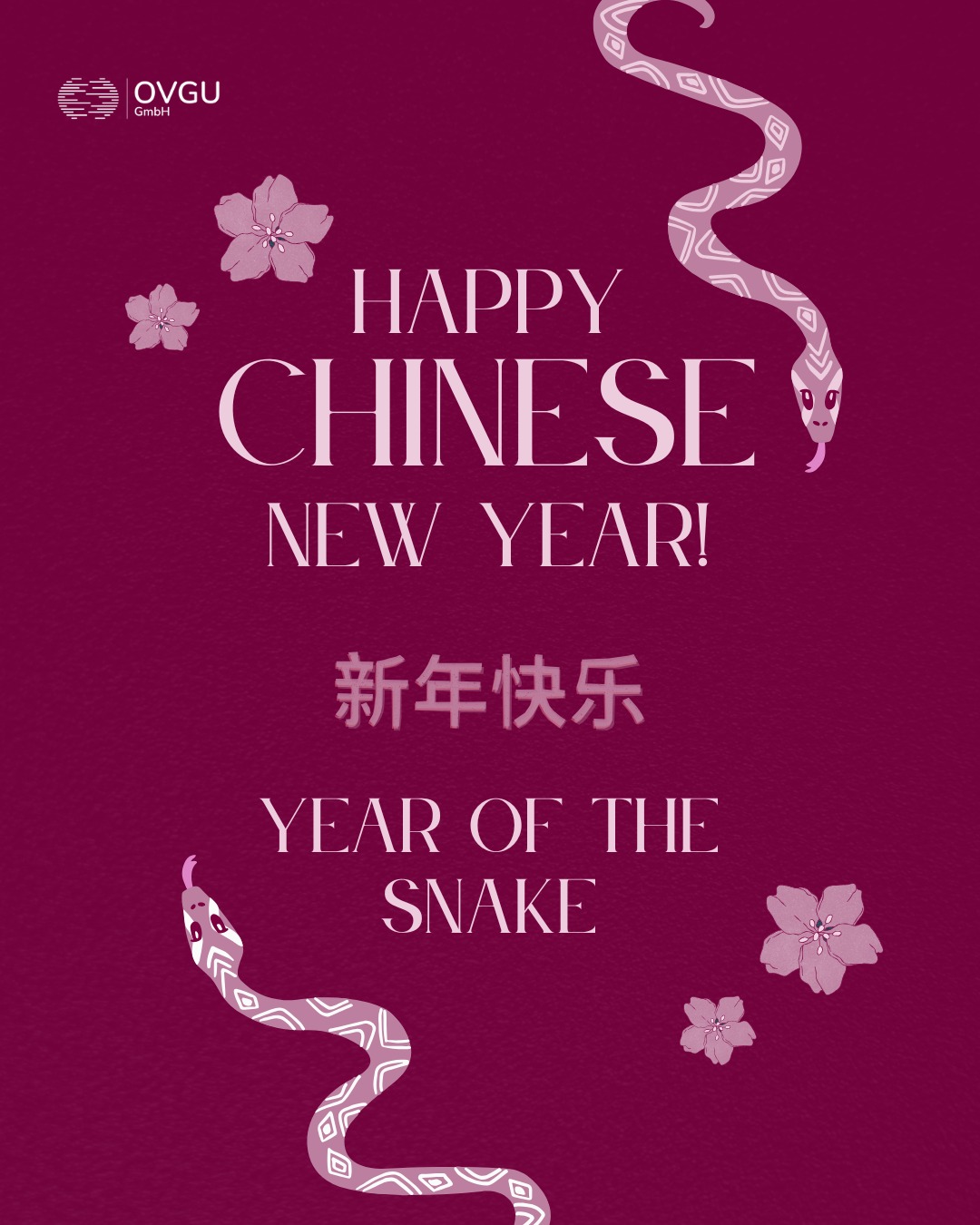 Happy New Year! Wir wünschen allen ein glückliches und erfolgreiches Jahr der Schlange! 🐍
Wir schwelgen noch in Erinnerungen an unsere letzte chinesische Summer School. ✨ Und jetzt? Freuen wir uns auf ein neues Jahr! Die Planungen für die nächste Summer School laufen auf Hochtouren. Seid gespannt! 😉 #summerschool #china #ovgugmbh #international #internationalstudents #happynewyear #chinesenewyear
---------------------------------------------------------------
Happy New Year! We wish everyone a happy and successful Year of the Snake! 🐍
We are still reminiscing about our last Chinese Summer School. ✨ And now? Let's look forward to a new year! Planning for the next Summer School is in full swing. Stay tuned! 😉 #summerschool #china #ovgugmbh #international #internationalstudents #happynewyear #chinesenewyear