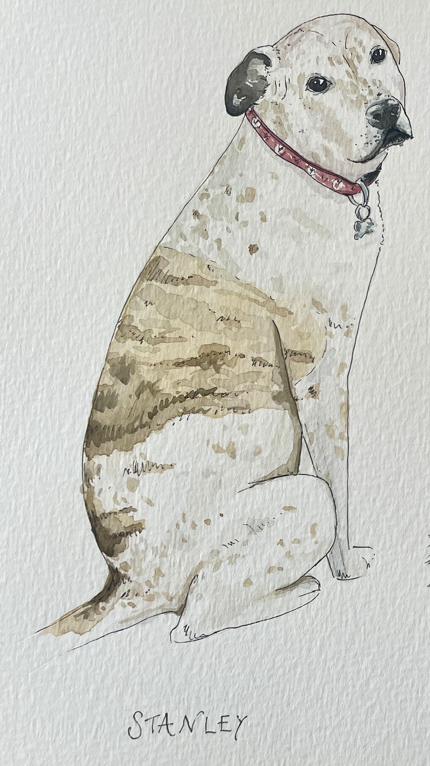 Bringing Gabby and Michael’s three fur babies—Stanley, Charlie, and Daisy—onto their wedding invites 🐾💌 It’s such a special way to include their pups in the celebration, and I’m excited for these sweet faces to make their way into the hands of their guests. 🐶💍
#petportrait #doglover #weddinginvites #watercolour #weddingplanning #illustration #maywedding