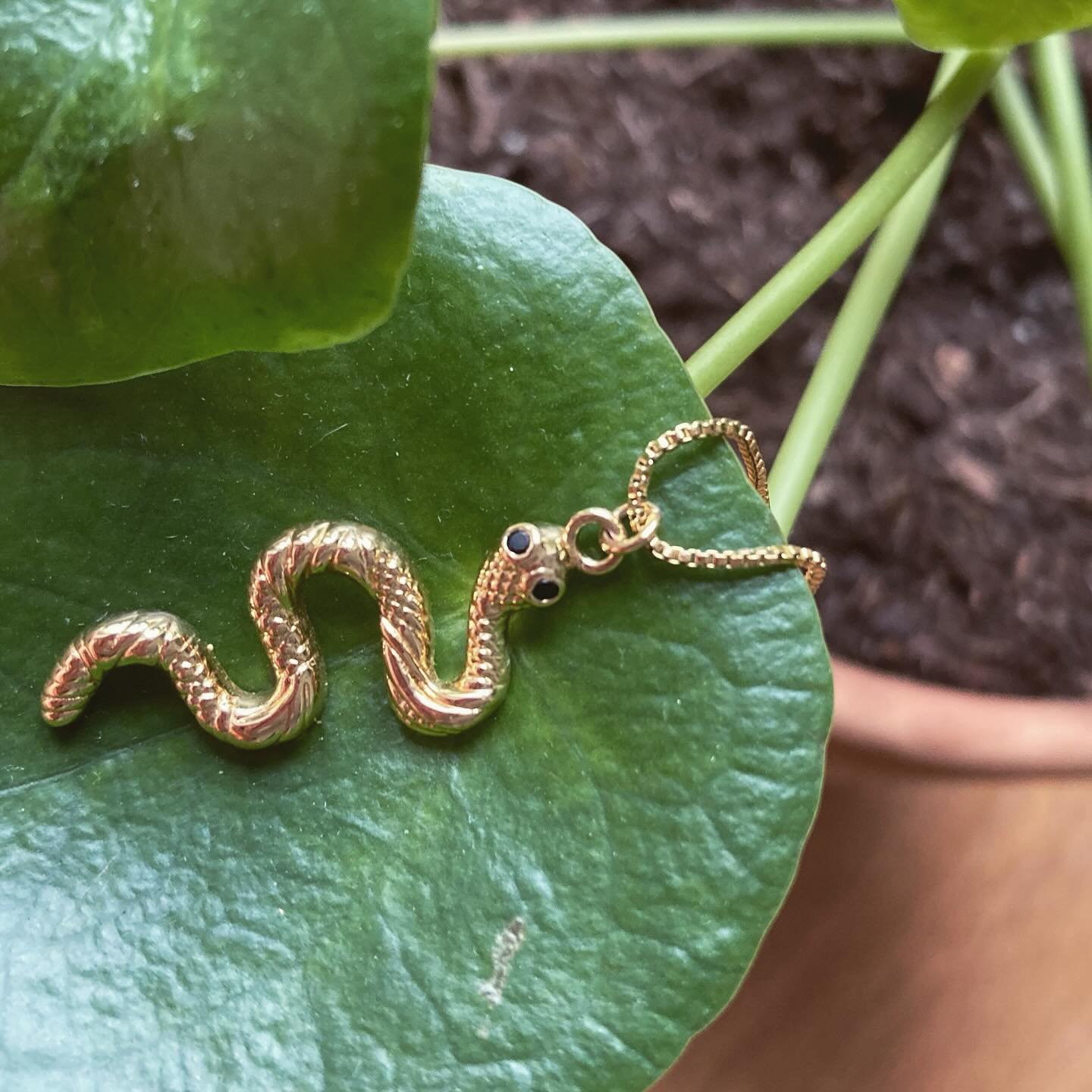 đ Say Hi to the Year of the Wood Snake with this super easy tip
Tomorrow we will be celebrating the Lunar Year, dominated by the Snake as far the Chinese Zodiac goes.
Snakes can feel very scary to some (I know, aaaaah) but fear not: they symbolise rebirth, renewal, letting go, healing energy⊠all the good stuff!
So to give it a proper welcome, you are cordially invited to a nice dusting session, especially on your front door, desk and plants. The goal is simple: refresh the Qi of your home, office or business, and let good luck and new opportunities in đ«
đ«đ· Dites bonjour Ă lâannĂ©e du Serpent de Bois avec ce conseil ultra simple
Demain nous fĂȘterons le Nouvel An Lunaire, dominĂ© par le serpent selon lâastrologue chinoise.
Les serpents peuvent faire peur Ă certains (je sais, aaaah), mais pas de panique : ils symbolisent avant tout la renaissance, le renouveau, le lĂącher prise, lâĂ©nergie de la guĂ©rison⊠tout ce quâon aime !
Alors pour lâaccueillir comme il se doit, vous ĂȘtes cordialement invitĂ©(e)s Ă une bonne session de dĂ©poussiĂ©rage, en particulier sur votre porte dâentrĂ©e, votre bureau et vos plantes. Le but est simple : renouveler le Qi de votre maison, bureau ou commerce, et laisser entrer la chance et les nouvelles opportunities đ«
#lunarnewyear #fengshuitips #yearofthesnake #fengshuimagic #goodvibes #newyearresolutions