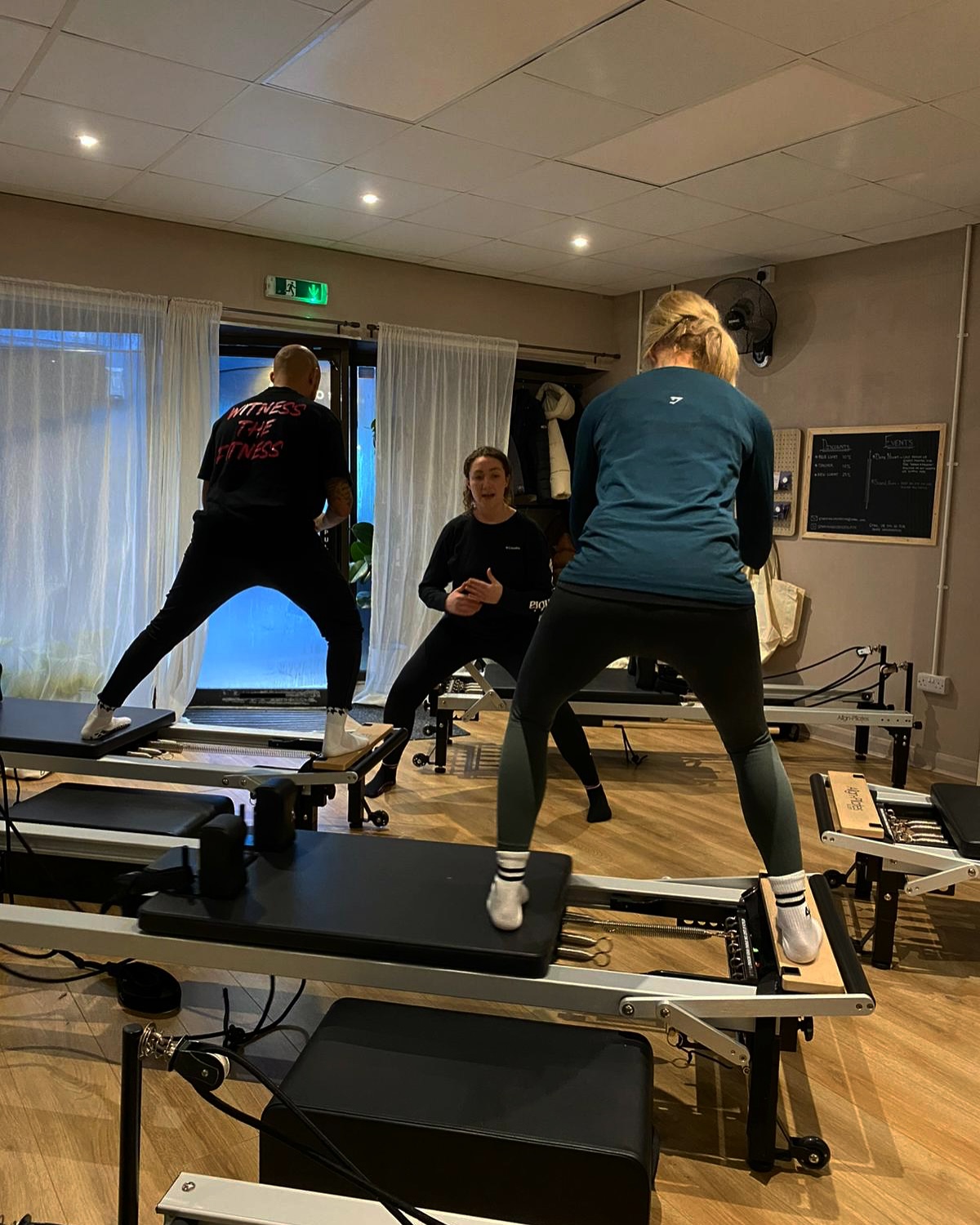 Teaching, teaching, dogs and teaching