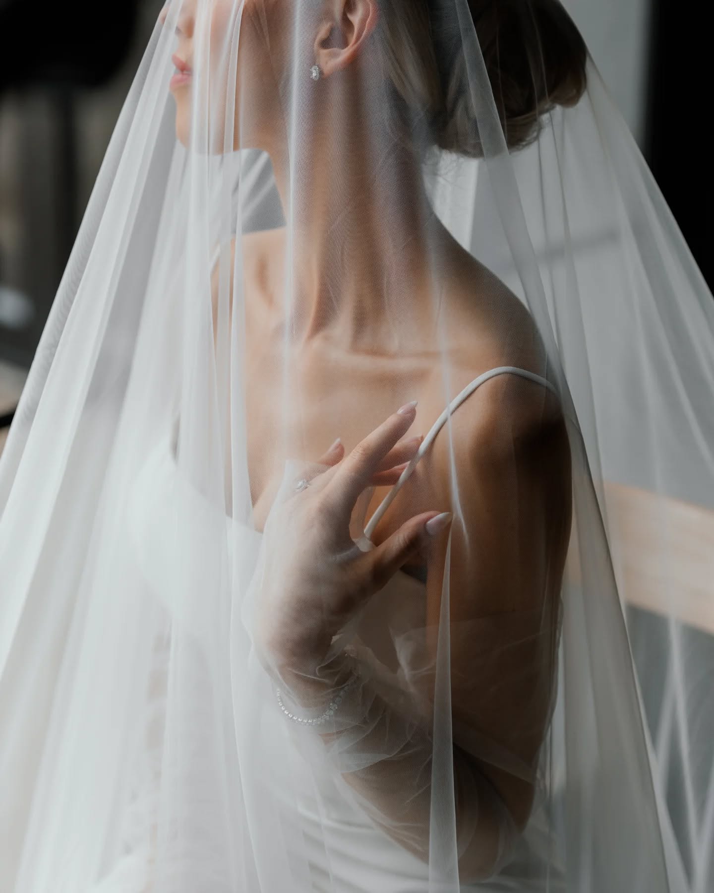 When the lighting is perfect...we get to capture this.