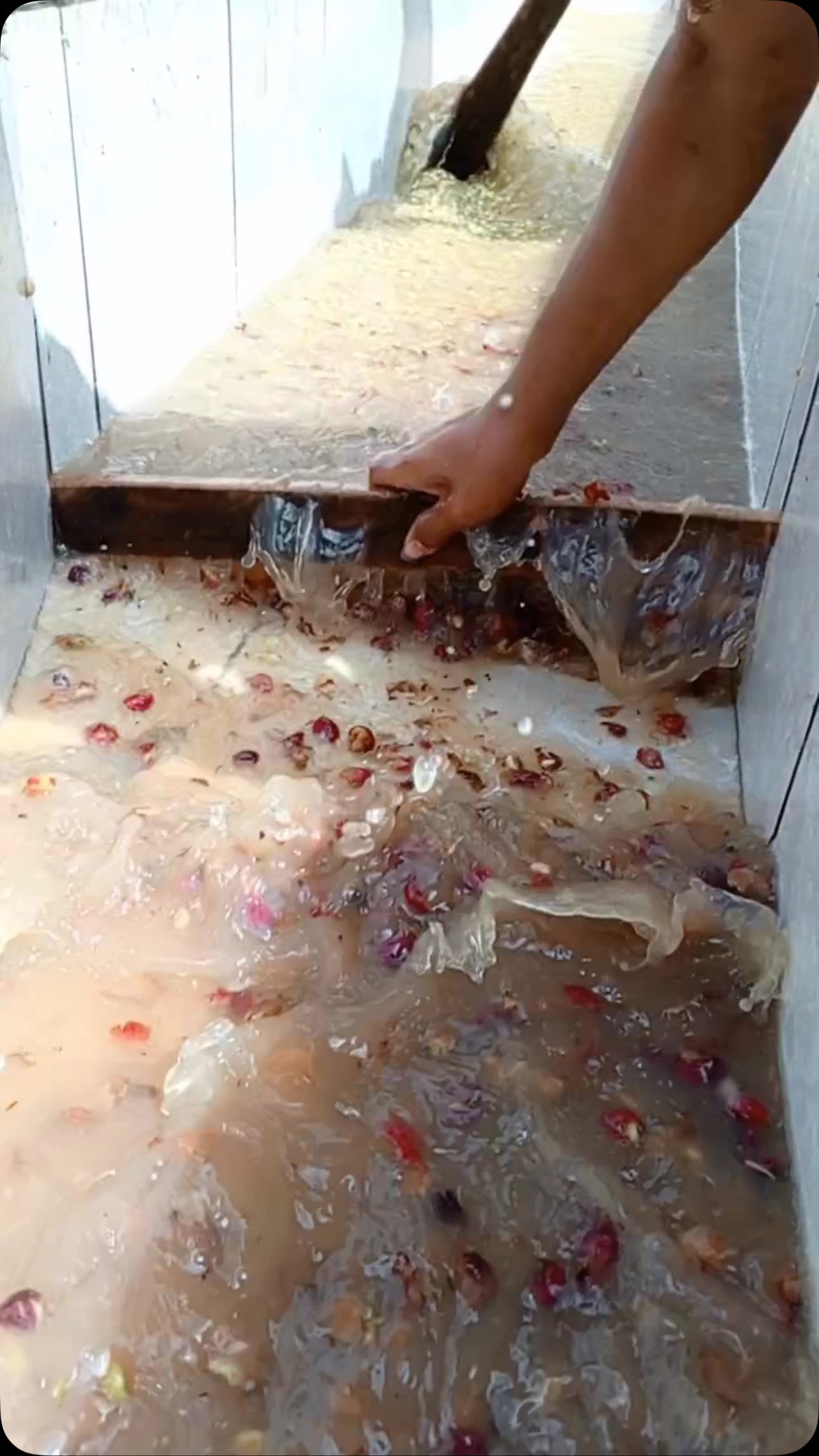 💦 We’re actively picking, fermenting, and washing coffee in Nicaragua. Our farming group’s main goal is to fight poverty through our high-cupping coffees. Roasters can contact us to team up!
🇦🇪 Roasters, if you’ll be at World of Coffee Dubai schedule a cupping with us at Booth Z4-G10 (link in profile).
#greencoffee #specialtycoffee #nicaragua #naturalprocess #honeyprocess #thirdwavecoffee #anaerobiccoffee #pacamara #worldofcoffee #directtrade #directtradecoffee #wocdubai #coffeeprocessing #sustainablecoffee #dubaicoffee #coffeeroaster #coffeesorting #coffeeroasting #coffeefarm #dubairoaster #goldmtncoffee #coffeefarmers #coffeefermentation #carbonicmacerationcoffee #nicaraguancoffee #wocdubai2025 #dubaispecialtycoffee #microlotcoffee #anaerobiccoffee #dubaicoffeeroaster