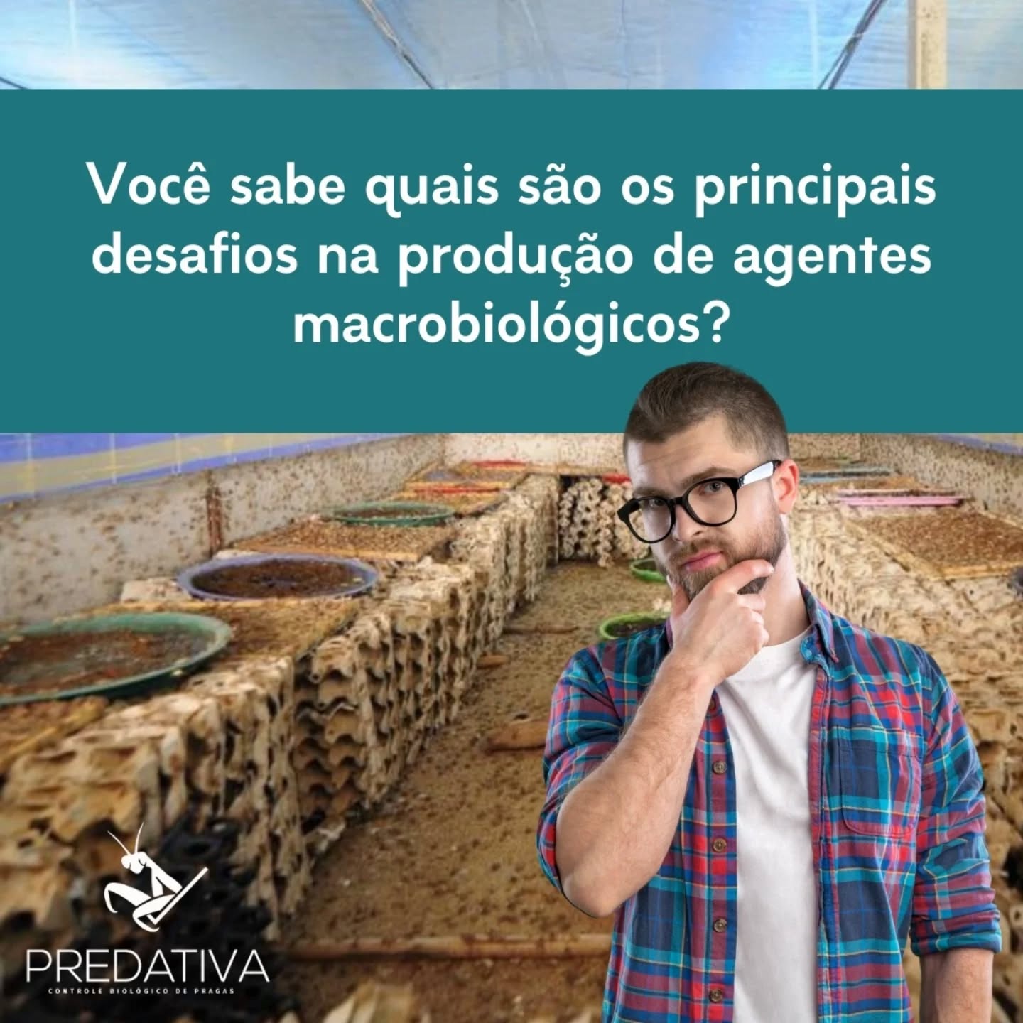 Tá curioso para saber mais?
Entre em contato conosco pelo link da bio ou nas redes sociais!
#agentesmacrobiologicos #crisopideos #pragasagricolas #manejointegradodepragas #predativa