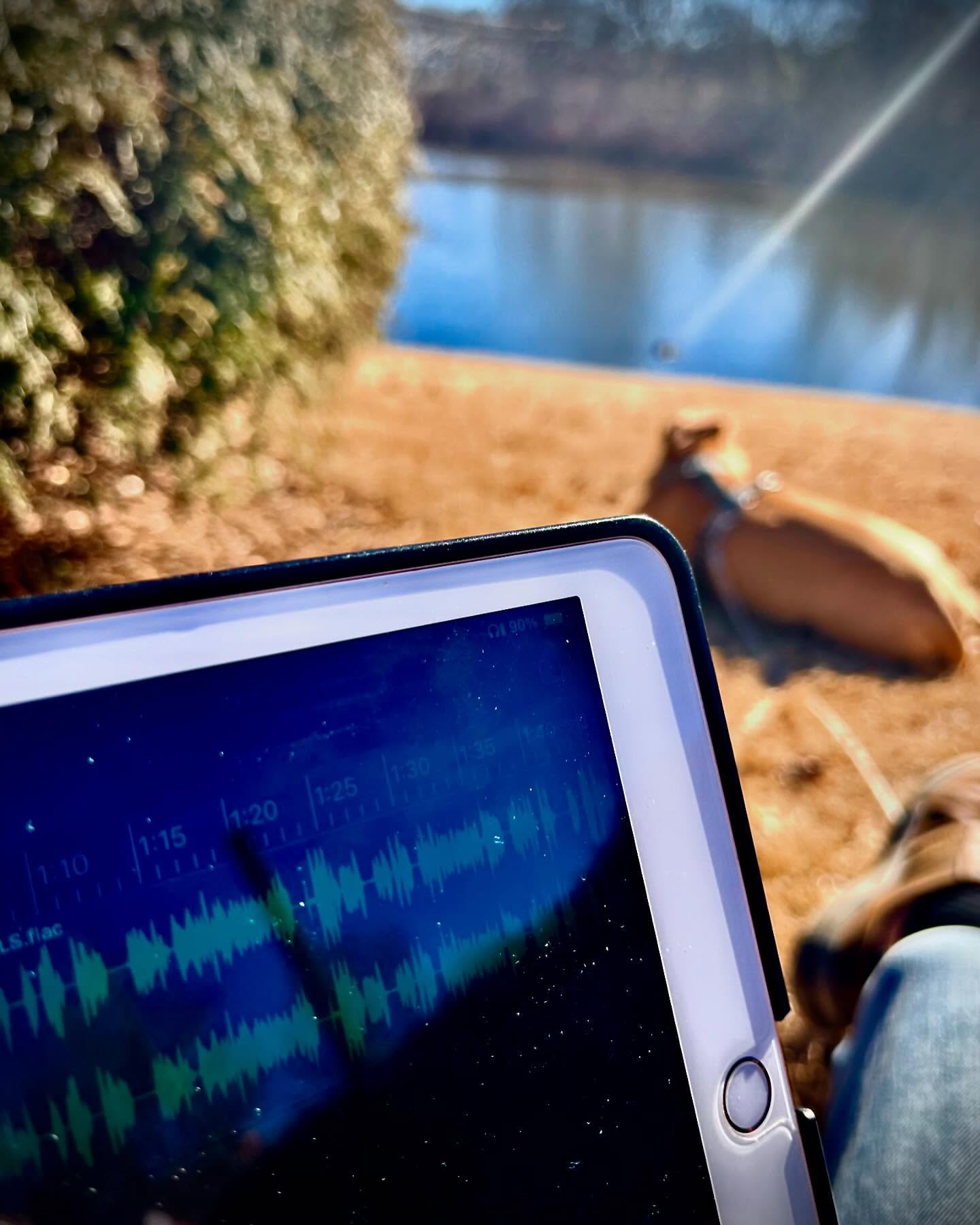 Editing episode 24 and taking advantage of the south in January #yeahthatgreenville #southcarolinaliving