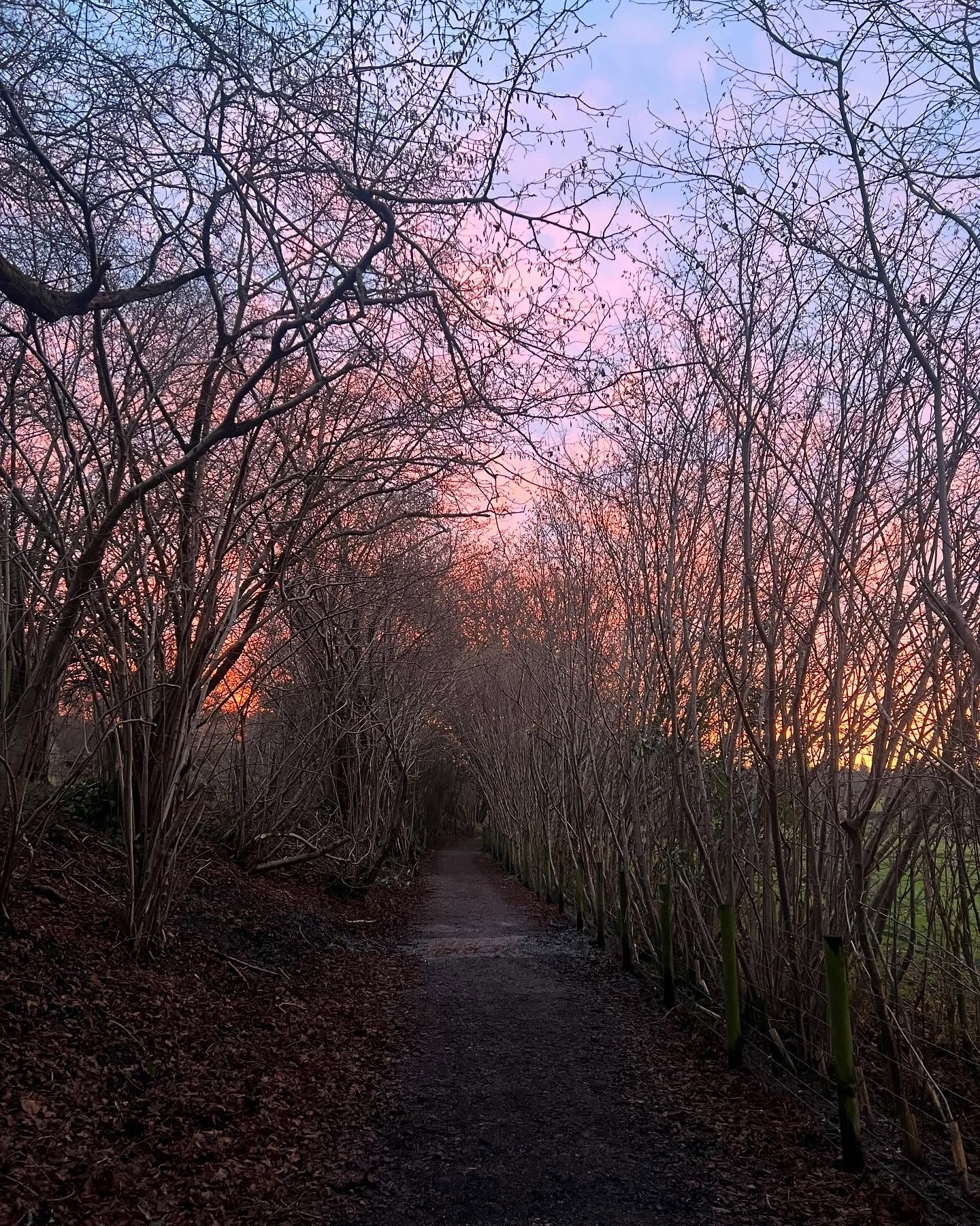 Working late…how lucky are we to have such beautiful countryside on our doorstep!