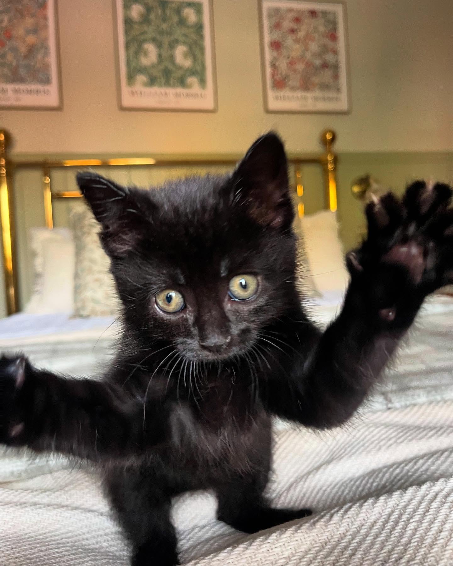 Hands up if you’re excited about going to New Zealand 🙌🏼
I am now on extended leave until 15th March for our honeymoon 🤩. Next availability:
📆 Norfolk: Tuesday 18th / Thursday 20th March
📆 Midlands: Sunday 23rd / Monday 24th March
Messages will be replied to whilst I’m away but there will likely be a delay.