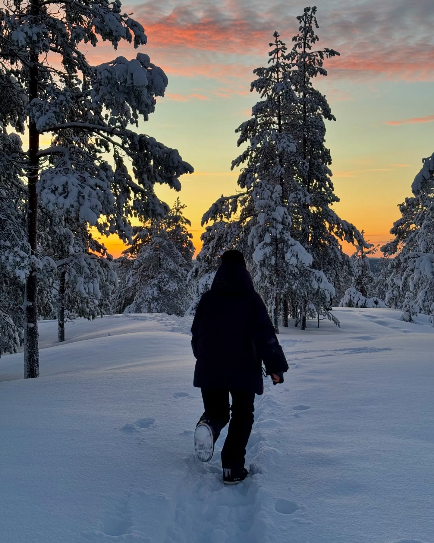 dreamy landscapes 🤍✨
#lapland #rovaniemi #finlande #visitfinland #sunset #voyage #travelphotography