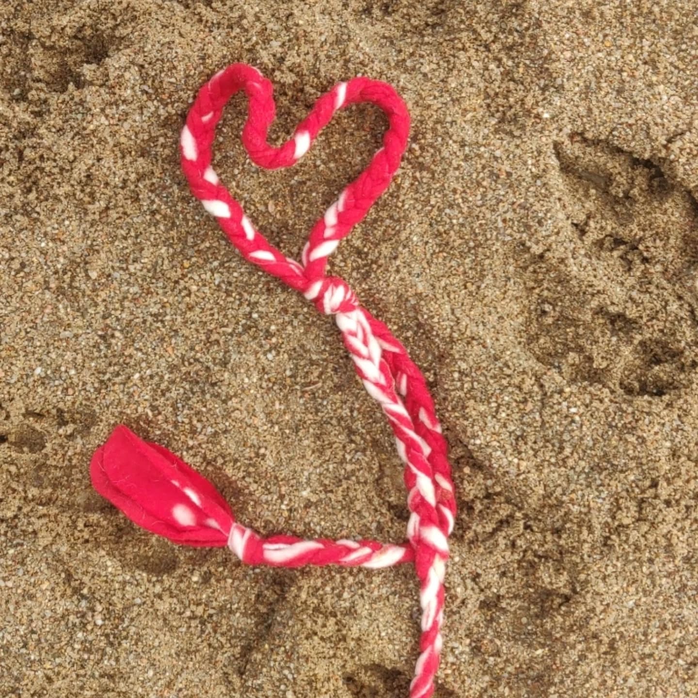 ✨ 2025 : PAS DE HAUSSE, JUSTE DU BONHEUR POUR TOUS ! ✨
Cette année, une grande nouveauté impacte beaucoup d’entreprises : les micro-entrepreneurs doivent désormais facturer la TVA. Concrètement, cela signifie que leurs prix vont augmenter pour s’adapter à cette nouvelle réalité.
Mais chez La Zouzoulerie, rien ne change ! 🎉 En tant que SASU, nous payons la TVA depuis le début, donc nos tarifs restent exactement les mêmes. Pas de mauvaise surprise, pas d’augmentation soudaine, juste nos créations toujours faites avec amour (et des matériaux de seconde main) pour gâter vos pot’à pattes 🐶🐱.
On sait que cette transition n’est pas évidente pour nos copains artisans et petites entreprises. Alors si vous voyez des prix qui montent, gardez en tête que ce n’est pas par choix, mais pour s’adapter à cette nouvelle réglementation. Soutenez-les autant que possible, parce qu’un monde avec plus de belles créations et de passionnés, c’est un monde plus chouette pour tout le monde !
2025, on l’aborde ensemble, avec toujours plus d’amour pour nos animaux et ceux qui les chouchoutent. 🐾💛
#artisanat
#madeinfrance #ChienGâté #sasu #friends