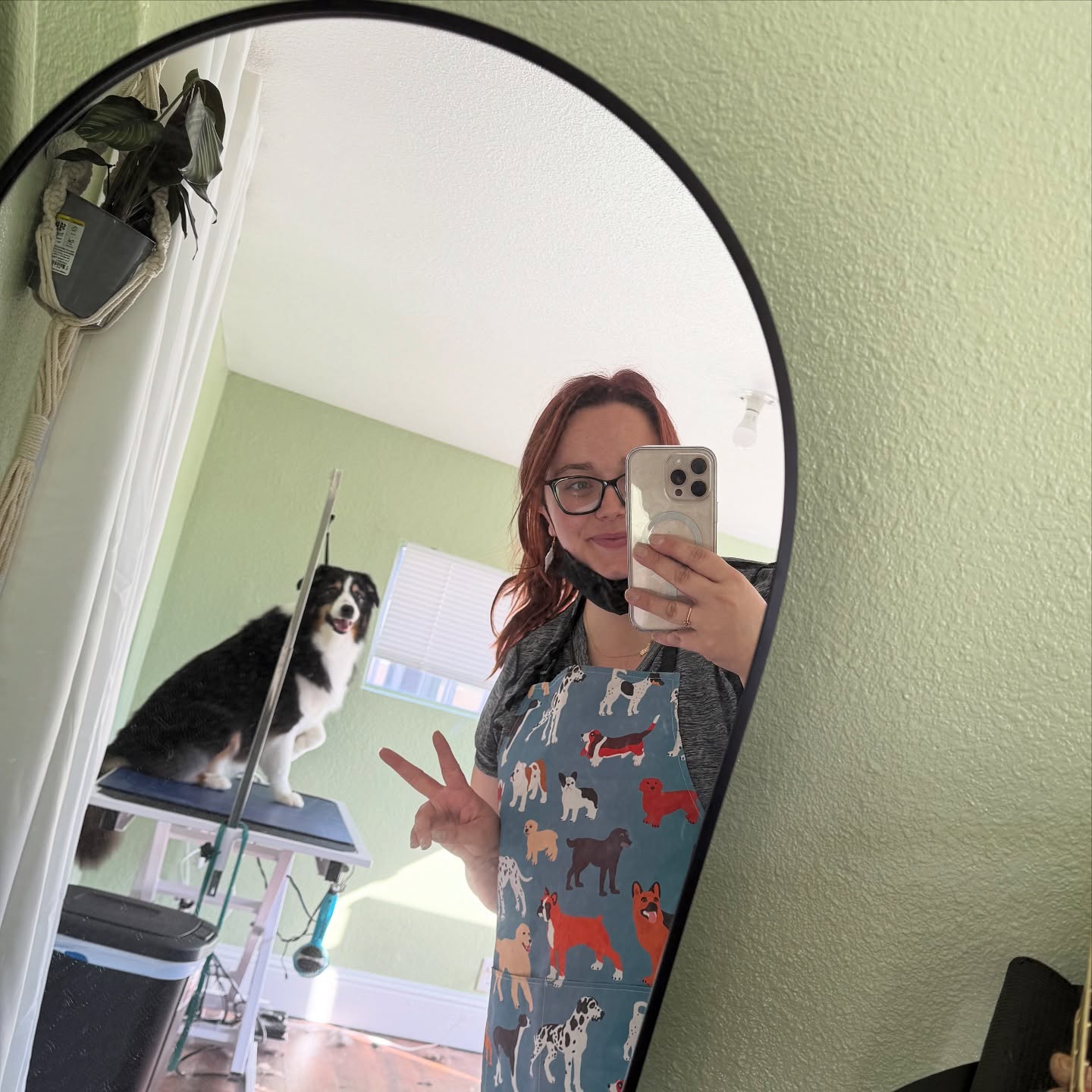 Things have been busy in the new studio salon! 🛁🐾
Slowly making this space the most comfortable for your pet while also making it cute for human eyes. 👀
Planning to announce a walk through/Grand Opening date, for all my wonderful clients and new neighbors to tour the place! ♥️