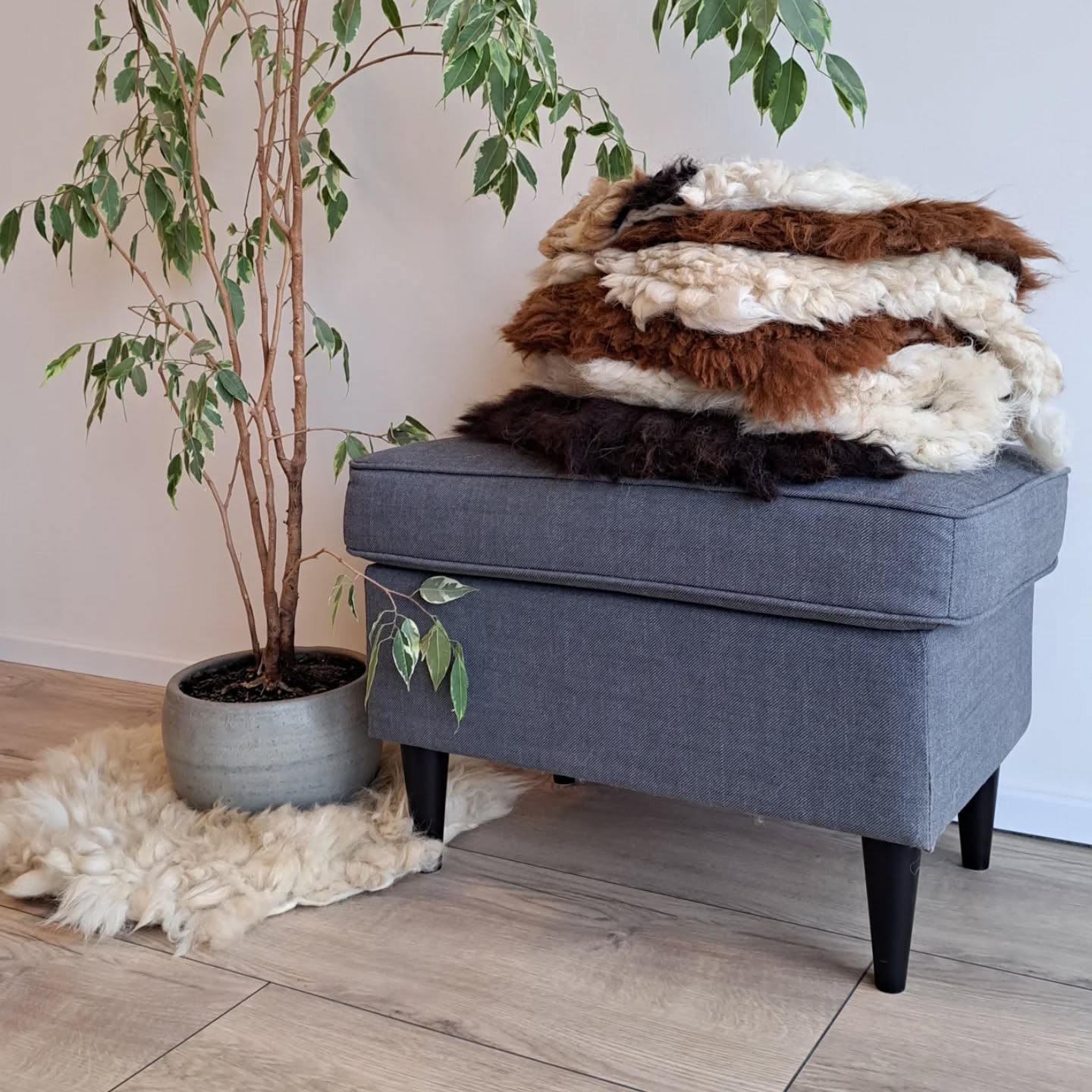 Workshop Felle filzen!
Hast du Lust etwas Neues auszuprobieren?
Besuche unsere Alpakas und lass dich von ihren zarten Wesen und ihrer plüschigen Wolle inspirieren.
Unsere bunte Truppe gibt dir eine schöne Auswahl um deine Lieblingsfellfarbe zu wählen.
In gemütlicher Atmosphäre filzt du unter Anleitung Schritt für Schritt dein eigenes Sitzfell.
So schön warm und flauschig!