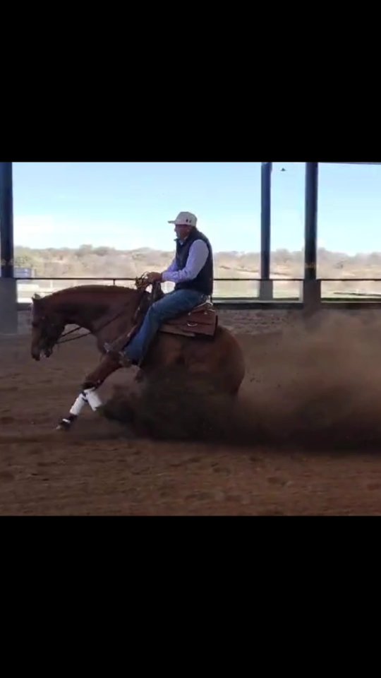 The Kids Gotta Gun x KR Skirt in the Dirt!
We're thrilled to see the progress that this 3-year-old is making at @avranchhorsesmx !