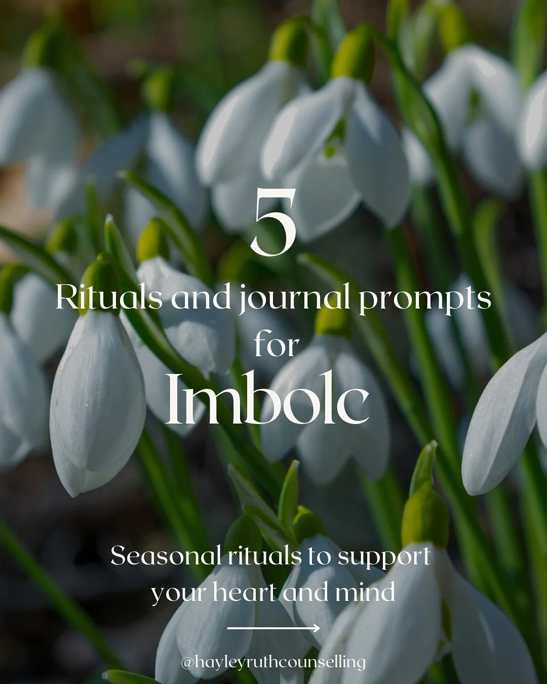 ✨ Ritual and Journalling guide for Imbolc 🌱✨
Imbolc (February 1st-2nd) is an ancient Celtic festival marking the halfway point between the Winter Solstice and the Spring Equinox.
It is a time where we may notice the first stirrings of Spring after the long dark days of Winter. And whilst Winter might not be over just yet... now is a time for planting seeds and dreaming our intentions for the things we’d like to grow when Spring arrives.
This time invites us to gently emerge from our slumber, clearing the way for new beginnings, and to welcome the return of the light. 🕯️
Here are some rituals and journaling prompts to help you embrace the energy of Imbolc to support your wellbeing as we make our way through the final days of Winter...
#imbolc #imbolcblessings #imbolcritual #wheeloftheyear #springiscoming #journalingprompts #ritual #selfcarerituals #seasonalliving #brigid #stbrigid #stbrigidsday