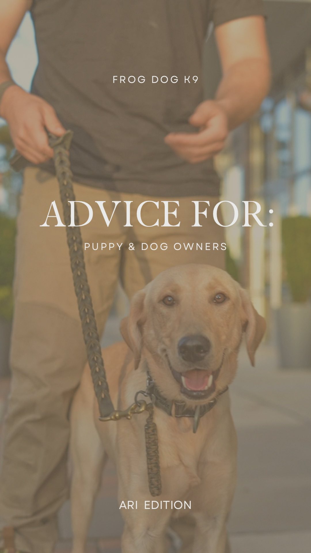 How do you Train your dog?
Let us know in the comments!
Video By: @Kb_Content_
#dogtraining #dogtrainer #puppylove #labs #grouptraining #puppytraining #puppylove #labpuppies #supportthetroops #k9 #veternanowned #veteran #serviceanimal #suicideawareness #nonprofit #charity #servicedog #usa #patriot #757 #Chesapeake #virginiabusiness #virginiaevents #suicideprevention #therapydog