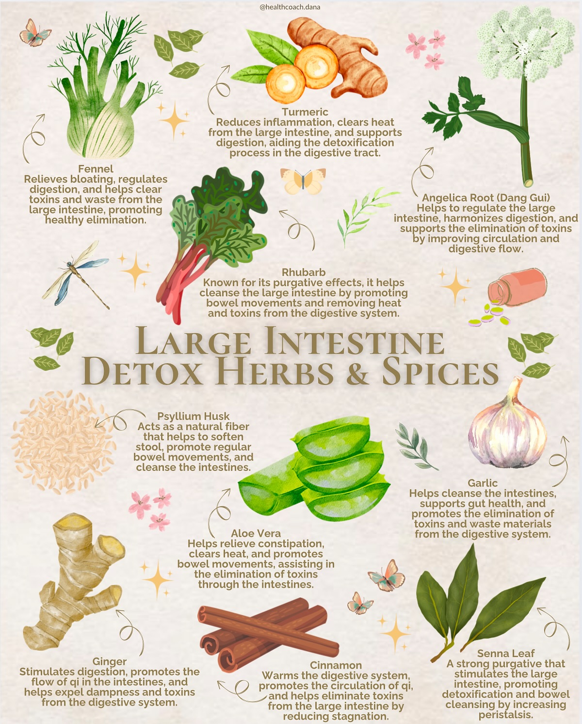 Reset your gut with a TCM-inspired detox! 🌿 Herbs like senna leaf, garlic, and ginger can help cleanse the large intestine, improve digestion, and boost your energy.
✋🏼Pair that with acupressure points ST25 (located two finger widths from either sides of the navel) and LI4 (between the base of your thumb and index finger) to get your Qi flowing and feel refreshed!
#TCM #LargeIntestineDetox #GutHealth #SennaLeaf #Garlic #Ginger #Acupressure #QiBoost #DetoxNaturally #HolisticHealing #TraditionalMedicine