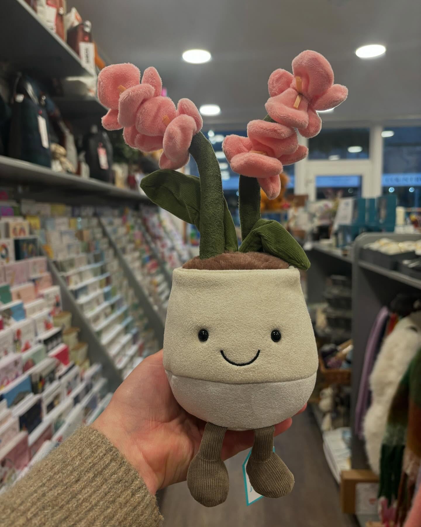 🌿🌷 NEW JELLIES! 🌷🌿 This gorgeous jellycat drop landed in our shop today! Which one is your favourite? #jellycat #jellycatstockist #shopscotland #shopuk #shopindependent #shoplocal #ballater #scotland #scottishhighlandsandmore #