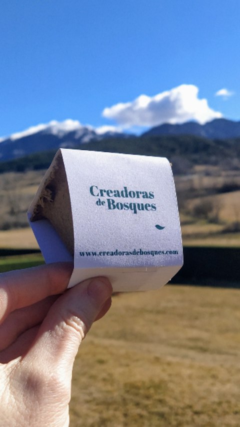 Mañana salen todos los kits de plantación que nos pedisteis 🌱 y estamos encantadas. 💚
Esta es una primera fase para un futuro encuentro de Creadoras en el invierno 25-26. Esta primera acción la hemos llamado #empiezoelañoplantandounbosque
El encinar, nacido de este kit, lo plantaremos JUNT@S en un encuentro maravilloso que ya vamos ideando.
Es un esfuerzo que hace años que queremos llevar a cabo y es el inicio de una serie de acciones solo para las suscriptoras que nos siguen y nos apoyan desde que nos conocieron.
Si quieres estar al día de todas nuestras actividades suscríbete ahora en el link de la bio.
Gracias por estar. 🙏🏻
Gracias por participar. 💚
Juntas plantamos el futuro. 🌱🌳✨
#creadorasdebosques
#mujeresconectadas
#conectadasalatierra
#esteañoplantounbosque