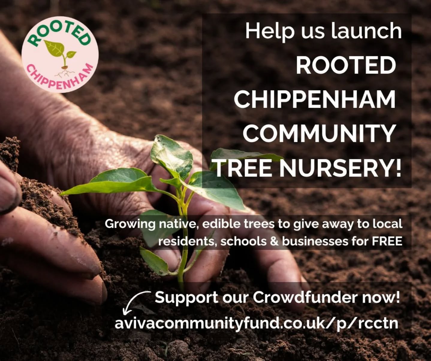 🙏 A heartfelt thank you to everyone who’s donated so far!
We’re incredibly grateful for the support we’ve received for the Chippenham Community Tree Nursery. Your generosity is helping us plant the seeds for a brighter, greener future.
💡 If you haven’t had the chance to donate yet, there’s still time to help us grow trees that will be shared for free with the Chippenham community: https://www.avivacommunityfund.co.uk/p/rcctn
Together, we’re growing something amazing for Chippenham.
#communitygardening #communitytreenursery #trees #nativetrees #edibletrees #biodiversity #community
