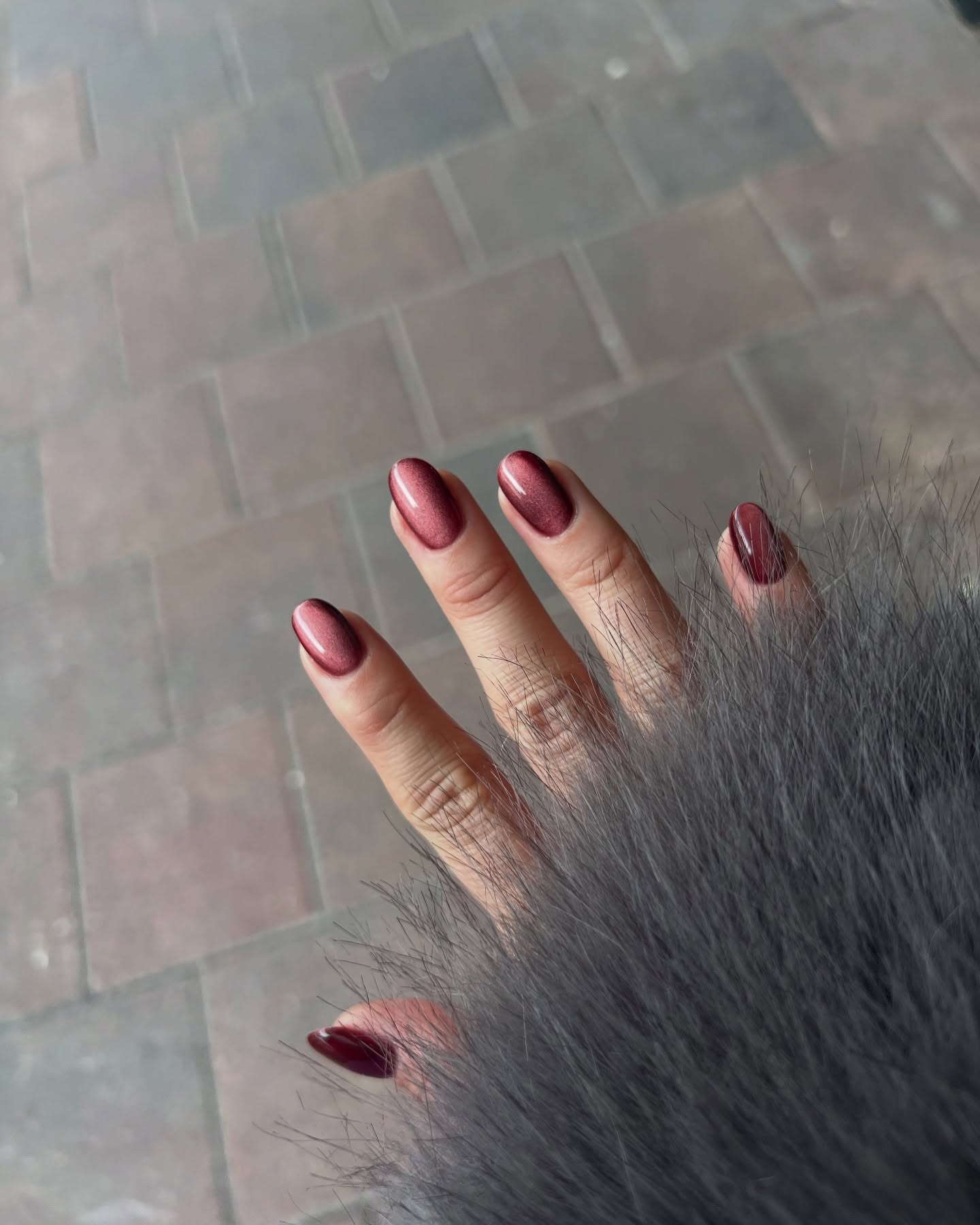 Het is bijna Valentijn 🌹❣️