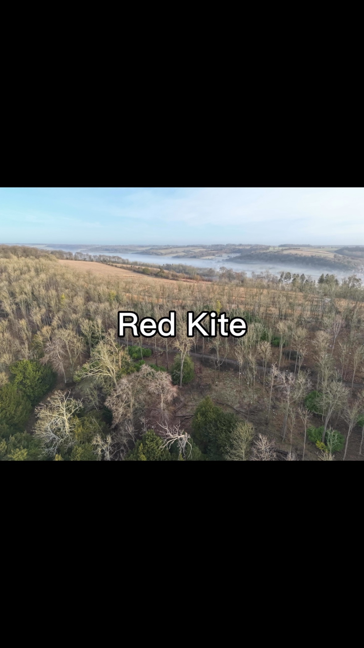 After a lot of planning - we have completed a large landscape deer census in the Chilterns this week.
One bird that showed up in high numbers was the Red kite. In the 1990s, Red kites were reintroduced in to the Chiltern National Landscape area using birds from Spain. They are clearly now thriving.
#BHWildlifeConsultancy #BHWC #drone #dji #dronephotography #dronestagram #drones #droneoftheday #dronelife #djiglobal #aerialphotography #nature #djimavic #dronepilot #dronevideo #droneshots #dronefly #landscape #aerial #matrice #redkite #chilterns