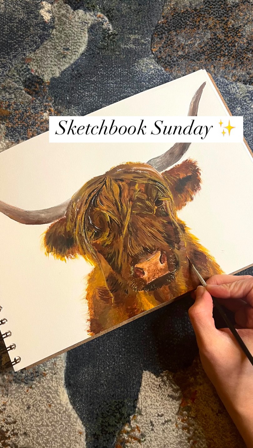 Sketchbook Sunday! 🤩
#highlandcow #sketchbooksunday #sketchbook #painting #cow #artistsupport