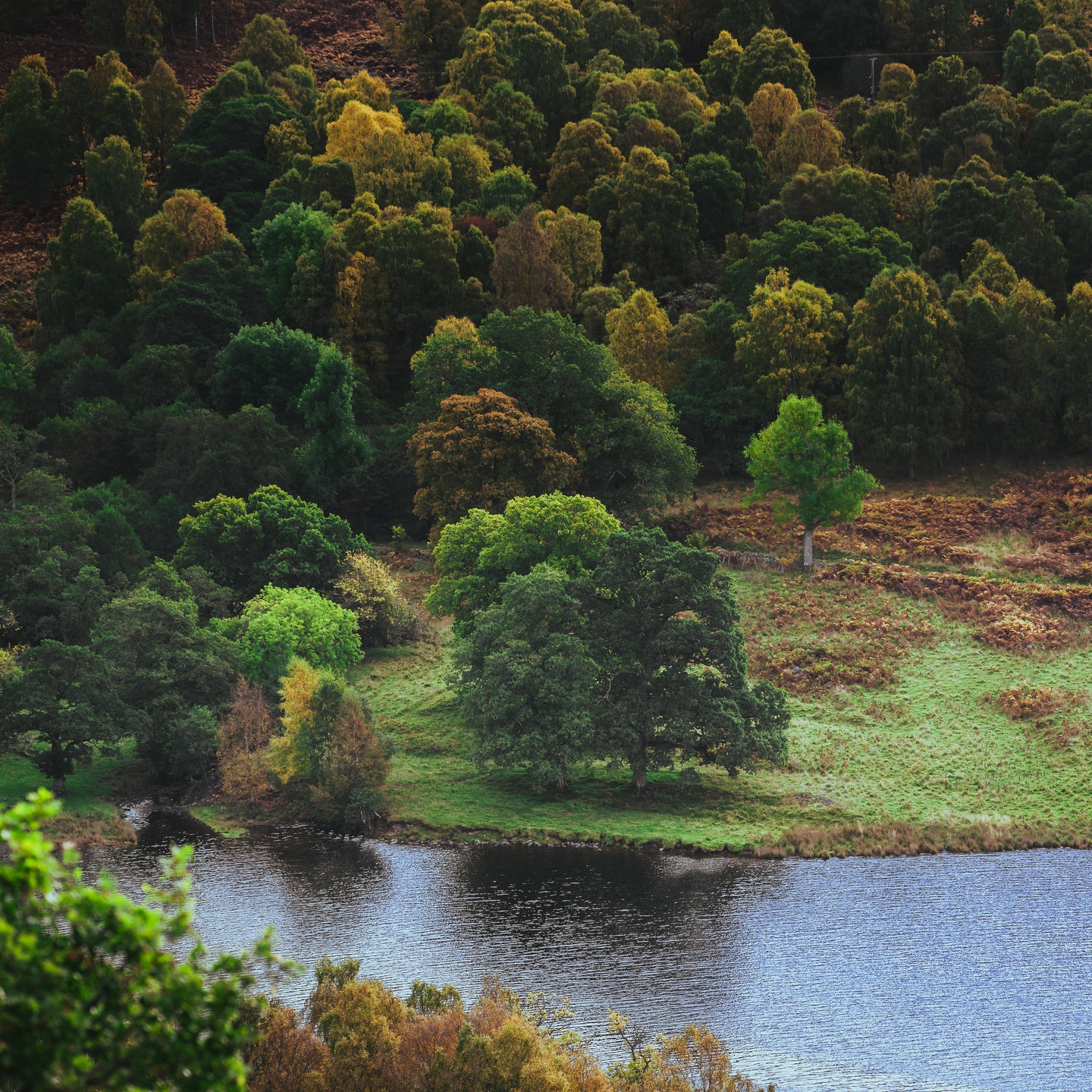The best place for the freshest oxygen.
#LochTummel #PitlochryViews #ScenicScotland #ScottishLandscapes #NatureLovers #VisitScotland #DiscoverScotland #ScotlandTravel #HighlandViews #NaturePhotography #WildernessCulture #ScotlandAdventures #LandscapeLovers #ExploreScotland #TranquilScenes #ForestViews #TravelScotland #NaturePerfection #ScottishHighlands #ViewpointVibes #NatureIsCalling #OutdoorExploration #HiddenScotland #LoveScotland #ScotlandNature #PeacefulPlaces #MajesticViews #BreathtakingScenery #NatureEscapes #WildScotland