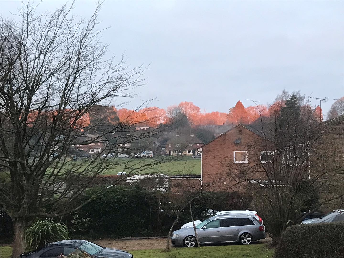 Glorious sunrise this morning just painting the tops of the trees orange