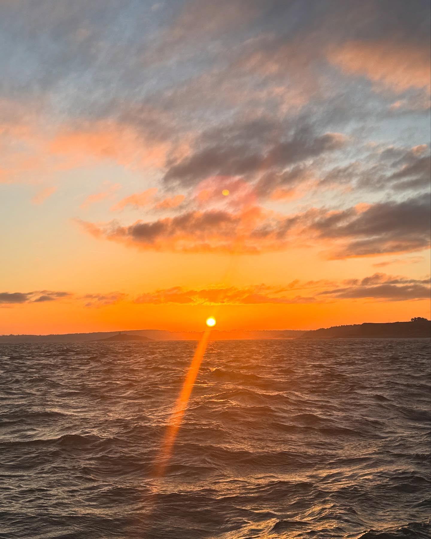 Bonjour à tous,
On se retrouve demain matin de 10h à 12h avec du beau poisson 🐠 et des araignées 🦀
📍16 rue ar Men 22430 Erquy
Bonne fin de journée 😉
#providence #poisson #fish #local #ultrafrais #coquillessaintjacques #coquillesstjacques
#venteendirectdupecheur #femmemarinpecheur
#erquy #erquytourisme #bretagne
#bretagnetourisme #mydinancapfrehel #bretagneforever #capderquyvalandre #pourdebon #expedition #24h