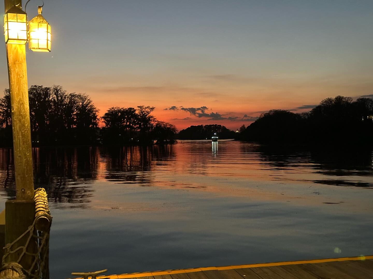 Best transportation to Magic Kingdom!