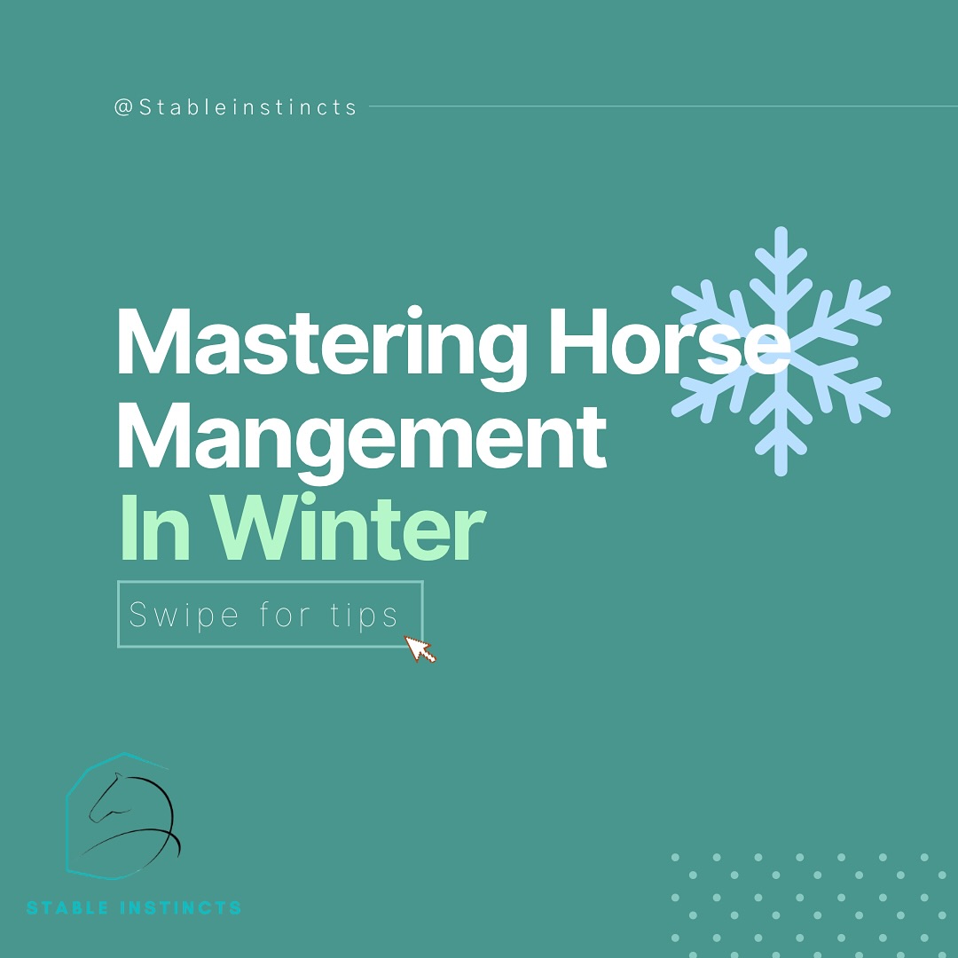 โค๏ธโค๏ธ ๐๐ผ๐๐ฏ๐น๐ฒ-๐๐ฎ๐ฝ ๐ถ๐ณ ๐๐ผ๐ ๐น๐ผ๐๐ฒ ๐๐ฒ๐ฒ๐ถ๐ป๐ด ๐ต๐ฎ๐ฝ๐ฝ๐, ๐ต๐ฒ๐ฎ๐น๐๐ต๐ ๐ต๐ผ๐ฟ๐๐ฒ๐ ๐ถ๐ป ๐๐ถ๐ป๐๐ฒ๐ฟ
โข
Albertaโs temperatures are dropping again (because winter loves to keep us on our toes๐), which means we should make sure you have a solid winter care plan
โข
๐ Shelter: A break from the wind can make a huge difference
๐พ Nutrition: Increased forage= internal warmth (Psssstโฆ I wrote all about this in my December @saddle_up_magazine articleโcheck it out for a better understanding)
๐ Low impact Exercise: Helps circulation & prevents stiffness
โข
Whatโs one winter management tip you swear by? Letโs help each other build the best care strategies this season.