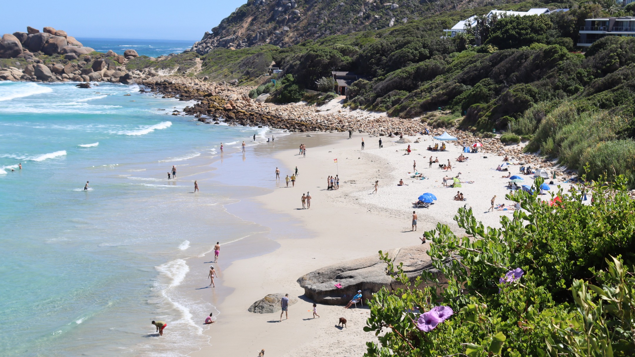 The Beach Life Cycle 🌺
It's been interesting this summer season as the sand reclaims it's space and the beach grows. After many big storms over the last two years, a lot of sand had been washed away and the underlying rocks exposed leaving us with a small sand patch. However Nature is amazing and the beach has grown once again! Always in awe of Nature - the shift in sand did create excellent banks and the waves were epic for months!