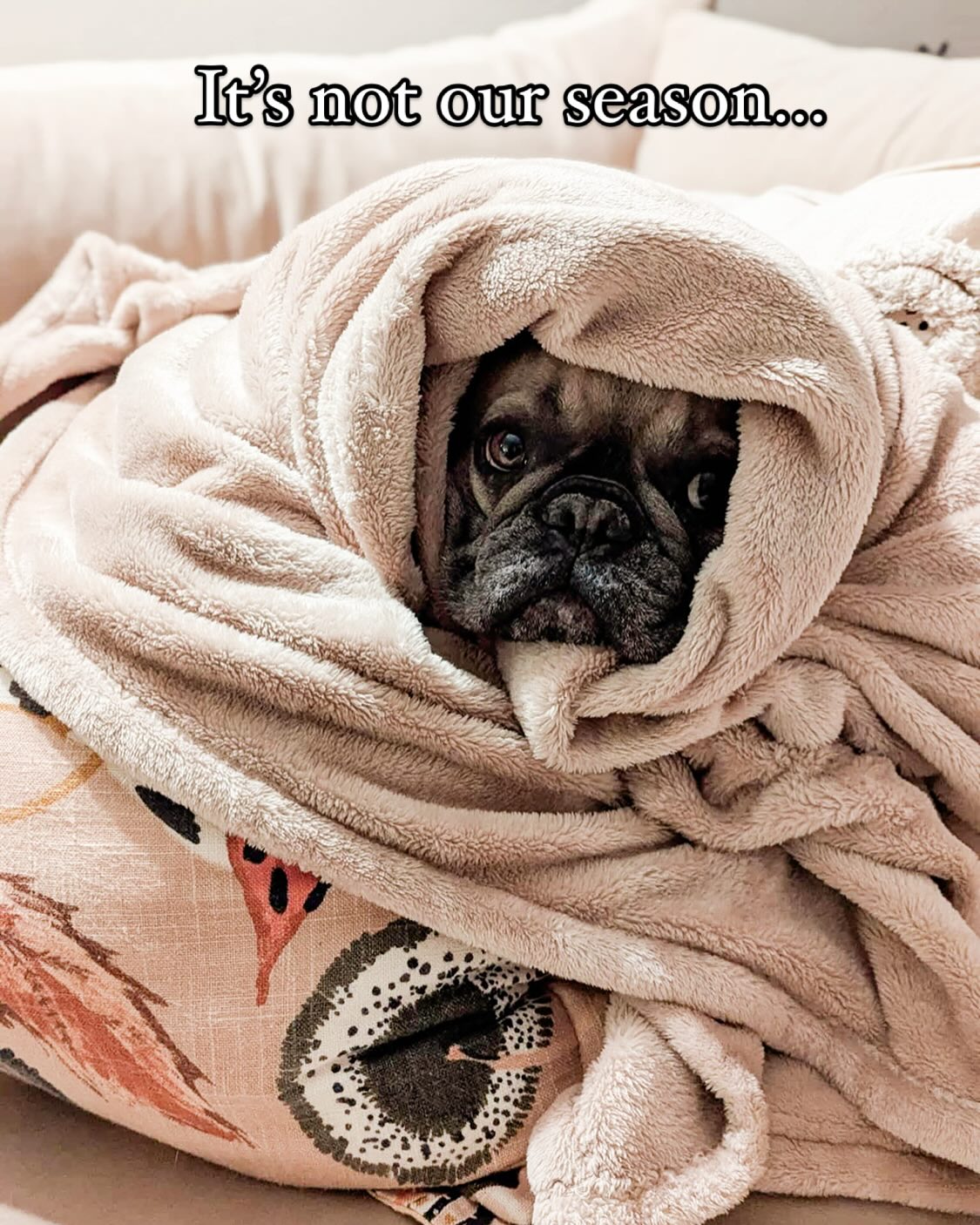 I’ll be right here until the snow melts, Mother.