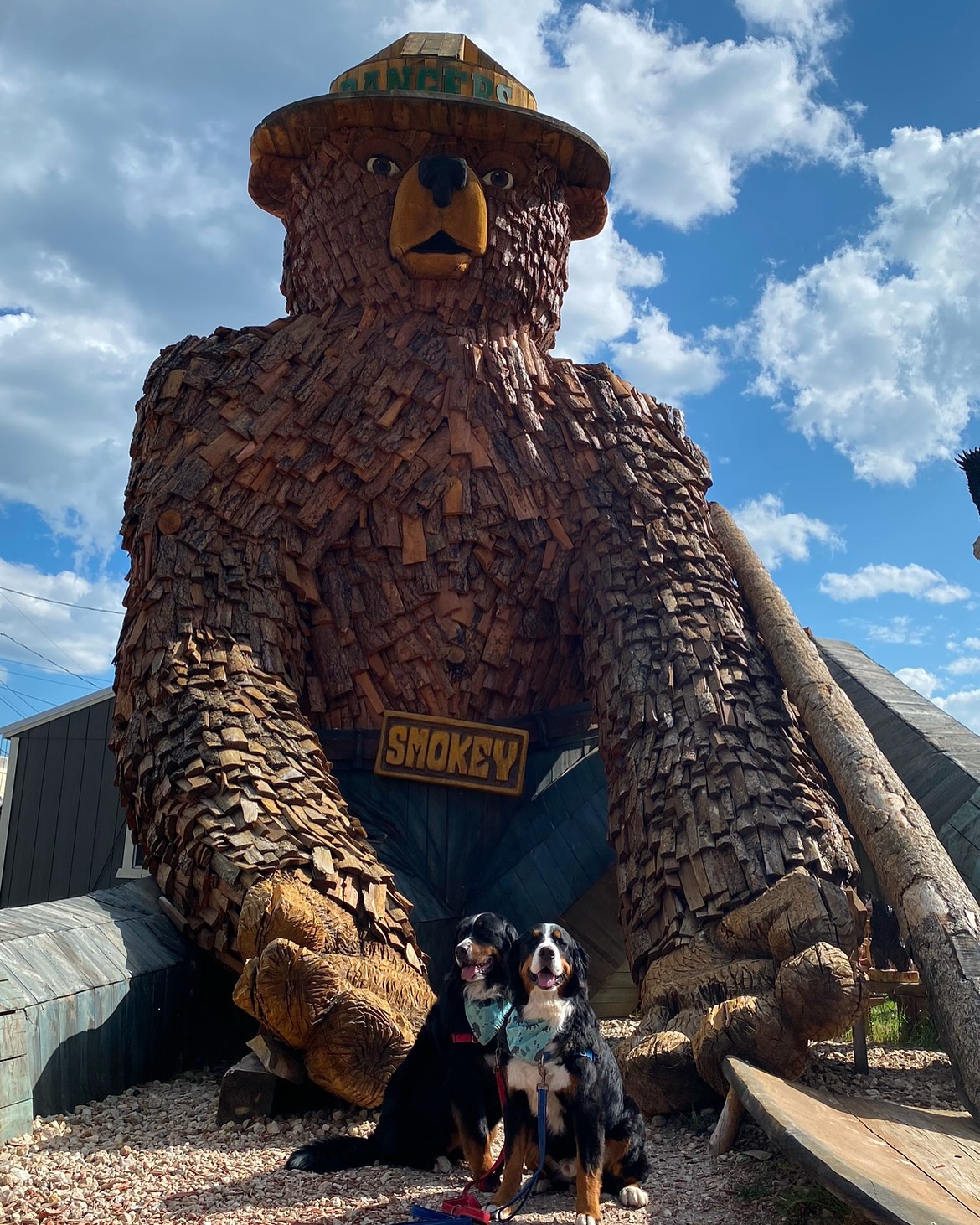 B&E are big dogs, but they look small next to these big things! We have seen lots of roadside attractions throughout our travels and today we’re rounding up a couple of our faves. Have you seen any of these spectacles?!
🐻 @smokeybear - Hill City, SD
🎣 Willie the Walleye - Baudette, MN
🐻 Smokey (again!) - International Falls, MN
🦦 Otto the Otter - @fergusfallsmn
🪓 Paul Bunyan & Babe - @visitbemidji
🐦 Loon - Vergas, MN
🪓 Paul Bunyan (again!) - Akeley, MN
🍦Dilly Bar - @fargomoorhead (Moorhead, MN)
We use the @roadside_america and @autioapp to find fun attractions along the way when we travel, and we’re never shy about pulling off for a quick photo!
Which one of these big things is your favorite?
#ernieoftheday #bertoftheday