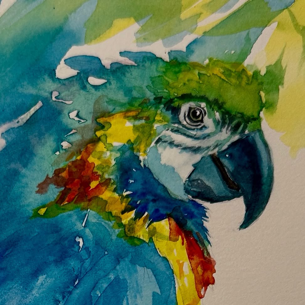 Experimenting with bold washes and splashes #watercolors