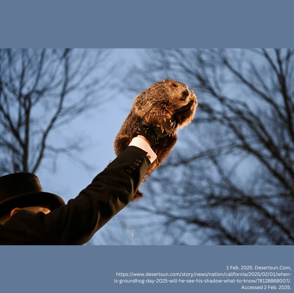 Happy Groundhog Day, everyone! ❄️
Groundhogs are super important to the environment; their burrowing helps redistribute moisture in soil, and they also provide food and shelter for other animals. Swipe to learn more about them! ❤️