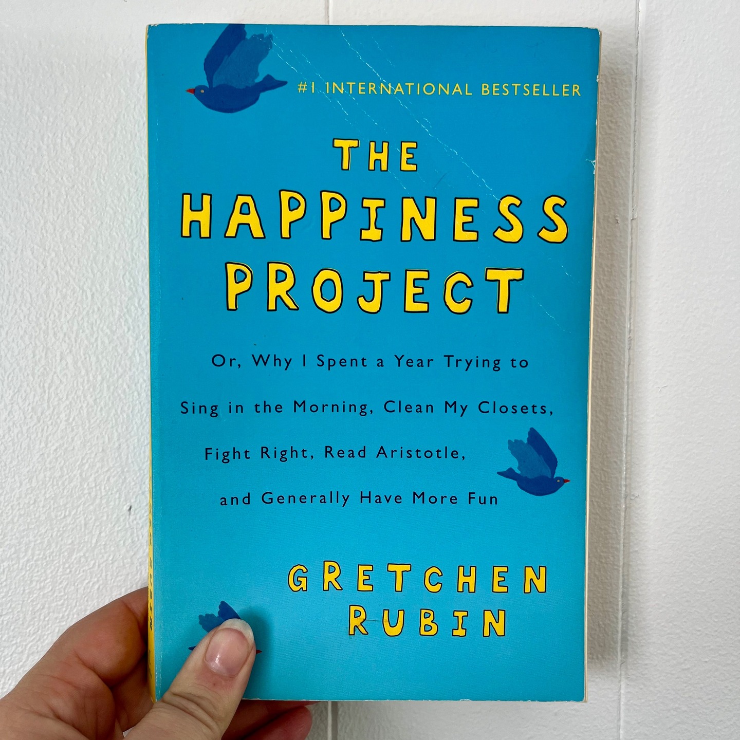 Books I recommend for those dealing with Depression: The Happiness Project by Gretchen Rubin and The Mindful Way Through Depression By Williams, Teasdale, Segal and Kabat-Zinn. #bookrecommendations #mentalhealthbooks #depression