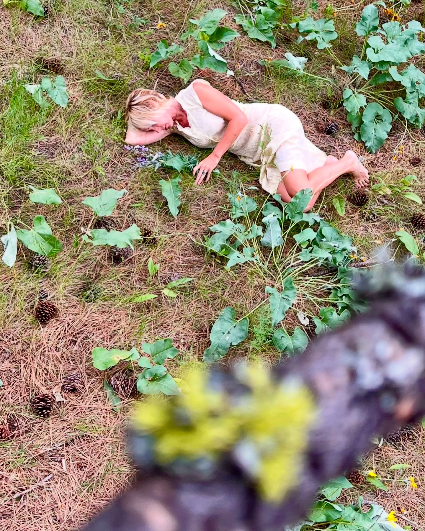 Life lately…to anyone navigating the feelings of “anticipatory grief”.
May we breathe again…
Anticipation
The air shifts before the storm—
a stillness,
heavy and sharp,
like the weight of something unseen
that everyone can feel.
I brace.
Hold my breath
against the knowing.
A leaf clings longer than expected,
its edges curling inward,
gathering what’s left of itself—
knowing
that surrender
is inevitable.
The sky darkens early,
and the coyote’s distant cry
echoes through the dusk.
He too, senses the turn of things.
Grief begins in the body,
long before the loss arrives—
a tightening of chest,
the tremble of anticipation,
blood rushing like a river
toward a fall
I cannot see
but can already hear.
I fear if I let the tears come,
they will flood
until all the rivers swell
and overflow.
That the tears will never end,
carving valleys deep within me,
etching loss into every cell.
I am the tree that refuses to release,
clutching brittle branches
to a silent, merciless sky.
Still, the earth beneath my feet hums:
Let go.
And yet—
how do I let go of breath
that carries their name?
In the quiet of dawn,
a single bird calls
and waits.
The sun rises—
the way it always does—
patient in its knowing
that light,
like grief,
will come in waves.
This, too, is life.
To love so fiercely
that we grieve
long before the end.
To tremble at the threshold
of what is sacred,
what is fleeting.
A breeze stirs.
The leaf releases.
And I breathe again.
- Shawnee Thornton Hardy
.
.
.
.
.
.
#poetry #grief #poetrycommunity