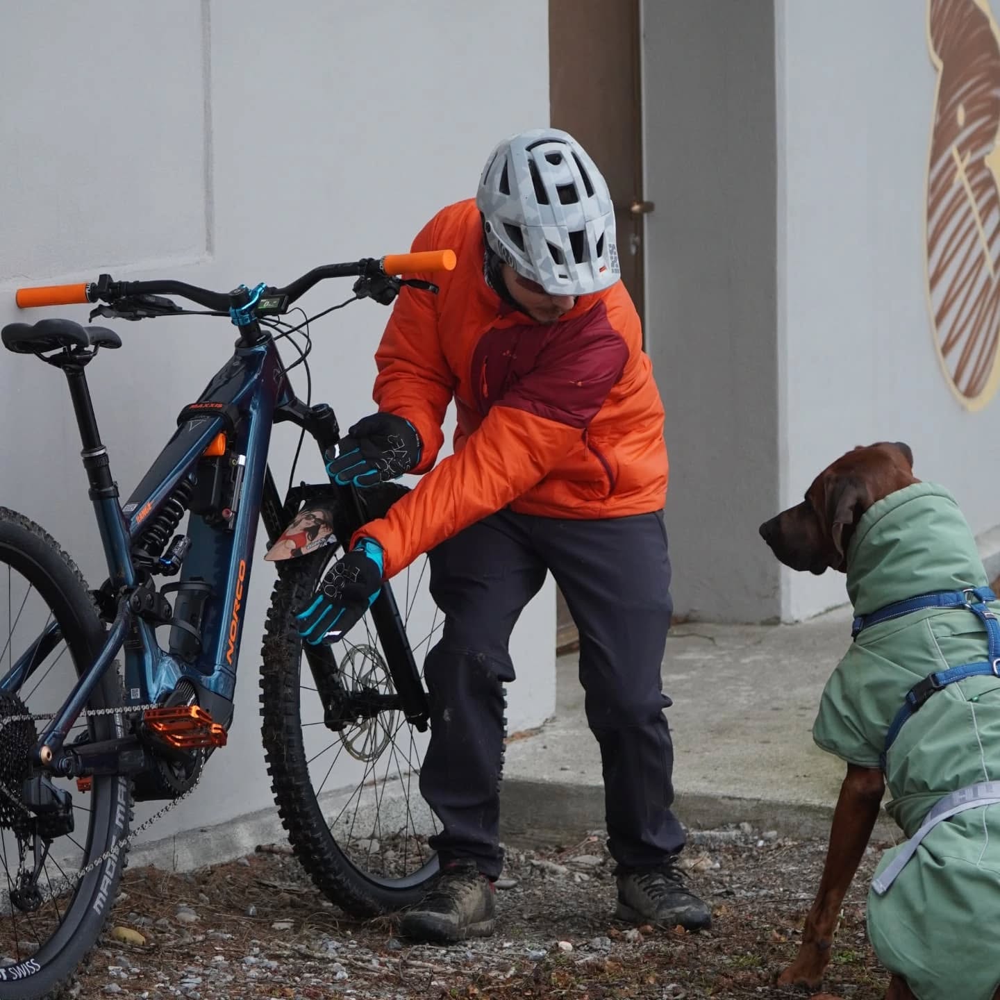 Unterwegs mit dem:
Norco Range Vlt
-900 Wh akku entnehmbar
-Shimano EP 8
-Parts Deity
-Laufräder DT Swiss
-Ersatzschlauch Tubolito
-Tool Topeak
-Mudguard Riesel Design
-Pumpe Airbone mini
-Reifen Schwalbe Magic Mary Ultra Soft DH
Bei uns im Shop erhältlich
www.stoeri-herisau.ch
#bikeshop#norcorange#norcobicycles#rockshox#bikeporn#stoeri2radcenterherisau#schwalbetires#srameagle#shimanomtb#deity#mtbswitzerland#mtbshop#herisau#gossau#sanktgallen#winterthur#thurgau