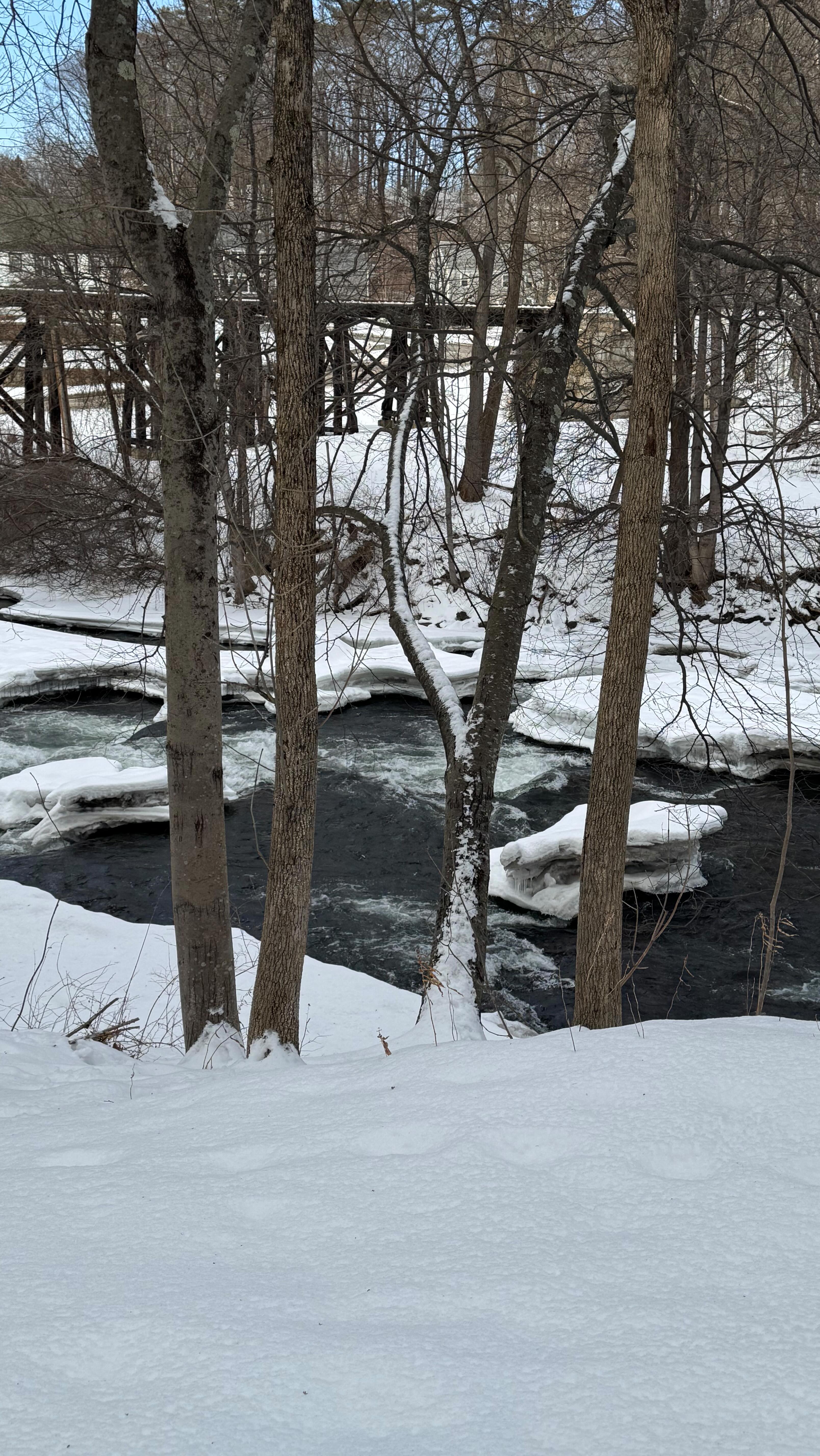 There are so many ways to get outside and enjoy our city and the Winnipesaukee River - even in the winter! We have amazing trails that run along the river that are free to everyone to enjoy. Walking (or skiing!) along the @winnirivertrail offers a unique opportunity to be in nature while also observing the historical remnants of the dams and mills that built the City of Franklin. We truly live in such a unique place that has historically revolved around, depended on, and celebrated the river.
Past and present, the river connects us all!
#community #winnipesaukee #newhampshire #franklinnh #franklinfalls #winnirivertrail