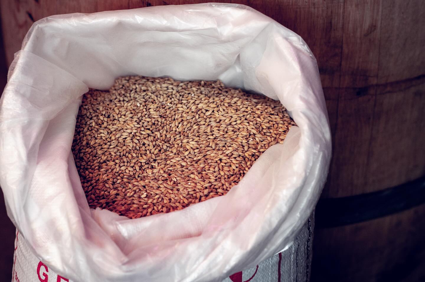 ALL BARKE, NO BITE // In any style of brewery, your raw ingredient choices are very important, however it is even more important when you are producing all lagers. Nothing to hide behind and the quality of each ingredient is put on centre stage. Because of this, making the decision on what your base malt - the backbone of your beers - will be is massive.
Over the past few years we have produced our lagers with a few top notch base malts which we grew to love. Over the past year we put our R&D hats on in preparation for our Squamish opening and we have been brewing with a variety of light malts with the intent of making a decision on which one will take up 95%+ of our recipes.
The malt that stood out above the rest is nothing but Germany’s finest: @weyermann_specialty_malts Weyermann Barke Pilsner Malt 🙌 supplied by our friends over at @rahrbsg . Barke Pilsner malt is produced from an heirloom two-row barley that is well known for giving a finished beer substantial body, mouthfeel, as well as good foam development and head retention - perfect for our side pour faucets 🍺. Nutty notes of toffee and freshly baked bread.
We can’t wait to pour you a stein of golden goodness soon...