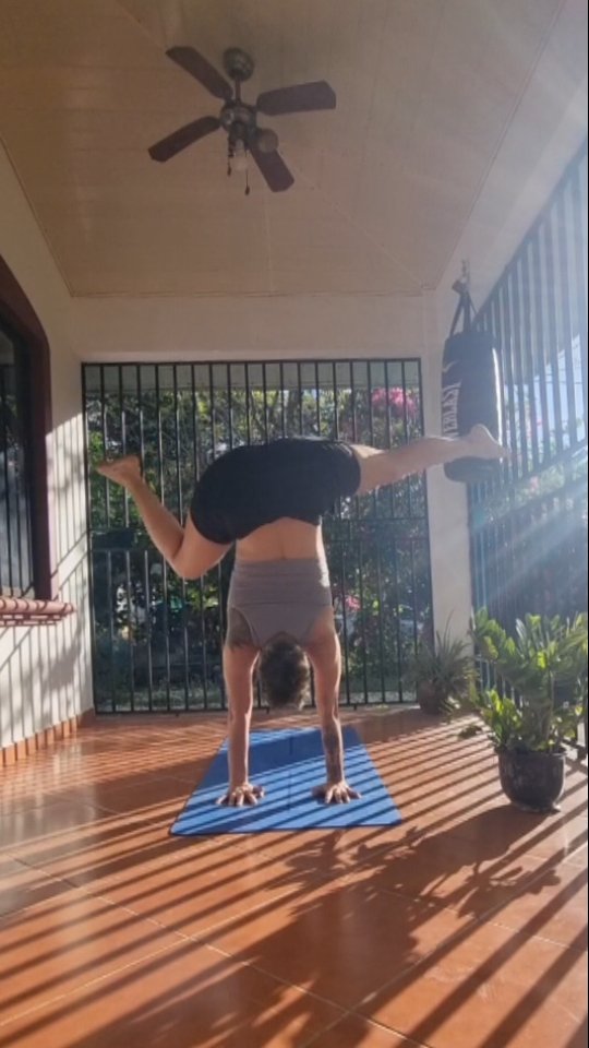 Only in Costa Rica do I get up at 6 and feel ready to practice at 7am🤣
But I guess the sun and warmth help me a lot. My body definitely isn't made to live in cold weather...
Feeling my body stretching makes me feel alive and the sun is exhilarating this feeling.
And all the animals around😍
#yoga #handstand #yogaeverydamday #handstandjourney #costarica