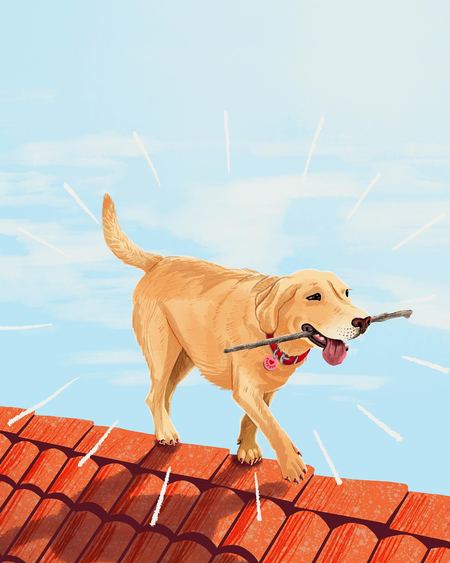 A few cropped illustrations for an upcoming book project! Stay tuned…
#bookillustration #illustration #selfpublishing #localbooks #bookdesigner #shoalhaven #nsw #labrador #goldenretriever #picturebook #author #independentpublishing