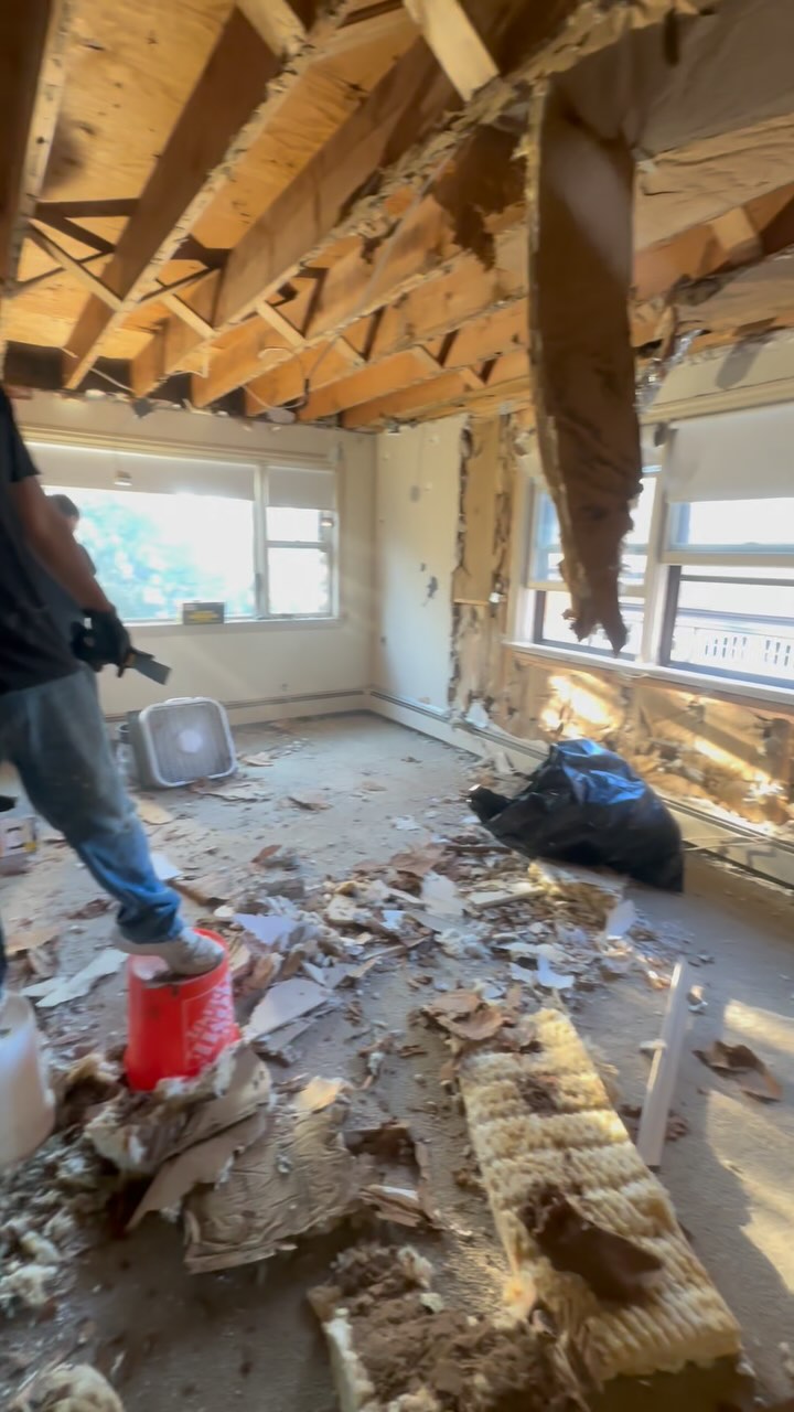 New residential project, full gut and renovation! More videos coming #demo #demolition #residential #construction #constructionlife #building #renovation #builder #architecture #architect #commercial #addition #fullgutrenovation #hammer #nails #drywall #framing #framer