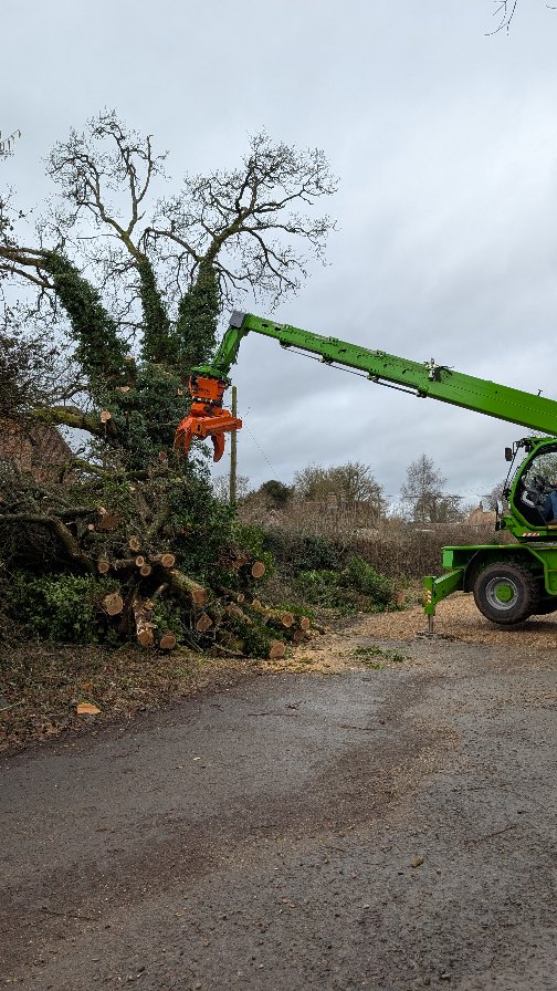 Another prominent mature tree removed this week 🌳 this Oak had an extensive fungal infection compromising it's root system and given it's location near various high risk targets it could not stay 🪓🪚 @rotoarb_and_lifting dismantling in under a hour 🏗️ @m1waymason and @treemonkey13 on the ground keeping things neat and tidy 🧹
#treeremoval #treesurgery
#treework #arb #arborist #andovertreesurgeon
#winchestertreesurgeon #hampshiretreesurgeon #wiltshiretreesurgeon #salisburytreesurgeon #berkshiretreesurgeon #treecontracting #onetwotree #treesurgeon #merloroto #grapplesaw