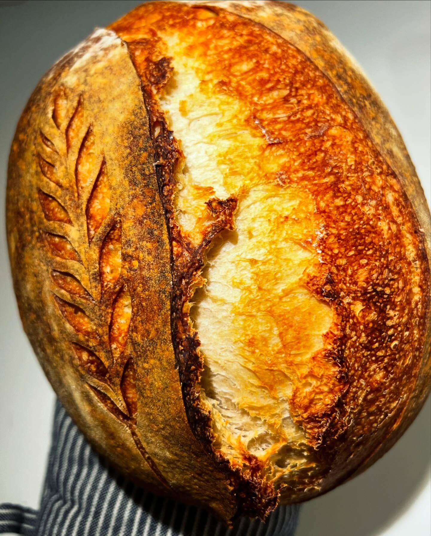 Plain Jane round #2 š
#sourdough #bread #sourdoughbreads #baking #fermentation #breadhead