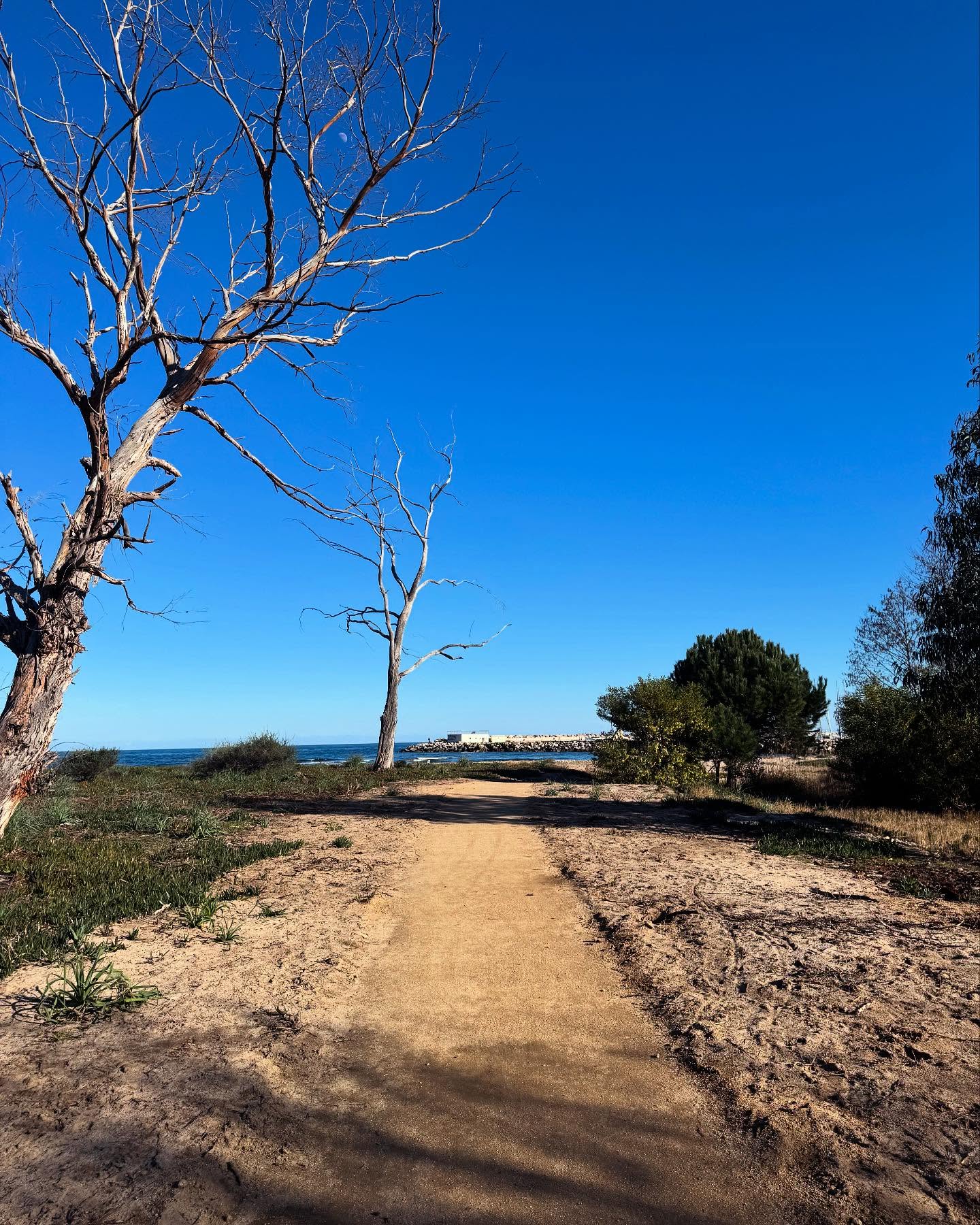 đ DĂ©couvrez notre parcours de santĂ©, un lieu dâĂ©vasion et de bien-ĂȘtre au cĆur de la nature. đ
Ce nouveau parcours de santé a été conçu pour vous offrir un moment de détente, de sport et de partage, seul ou en famille.
Que vous soyez un amateur de course Ă pied, đun passionnĂ© de marche đ¶ââïž ou simplement en quĂȘte dâun moment de relaxation au contact de la nature, ce parcours vous offre tout ce dont vous avez besoin pour vous ressourcer. Au fil de votre promenade, vous dĂ©couvrirez une sĂ©rie dâactivitĂ©s variĂ©s sportives accessibles Ă tous, qui vous permettront de renforcer votre corps. Seul, entre amis ou en famille, vous partagerez des instants de sport et de rire dans un cadre naturel. âïžâïž