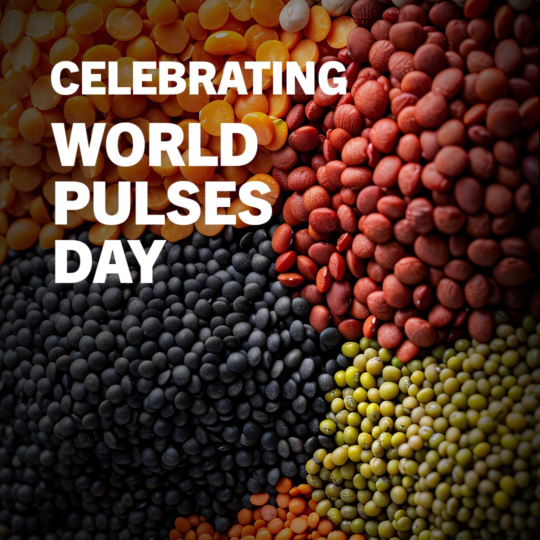 On #WorldPulsesDay, we celebrate the vital role pulses play in agriculture. Africa is a leading force in global pulse production and the Middle East continues to contribute significantly to this important crop. At Case IH, we are proud to support farmers with the technology and equipment they need to drive sustainable and secure pulse farming for the future.