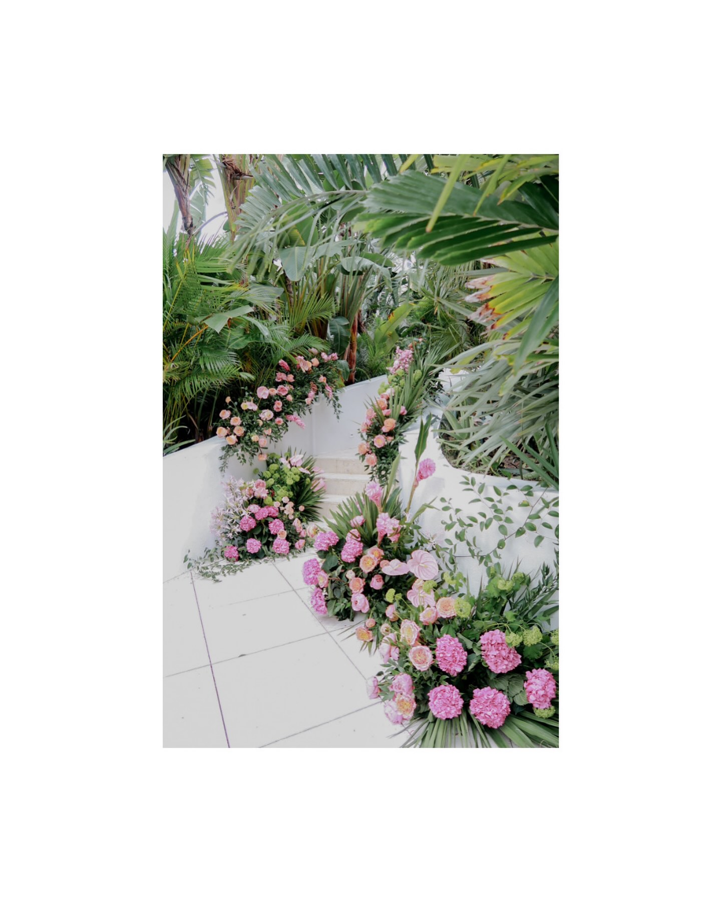 location: Miami 🌸
.
.
.
.
#photography #photographymiami #miamiphotographer #miamiphotography #weddingvenue #weddingmiami #weddingphotography